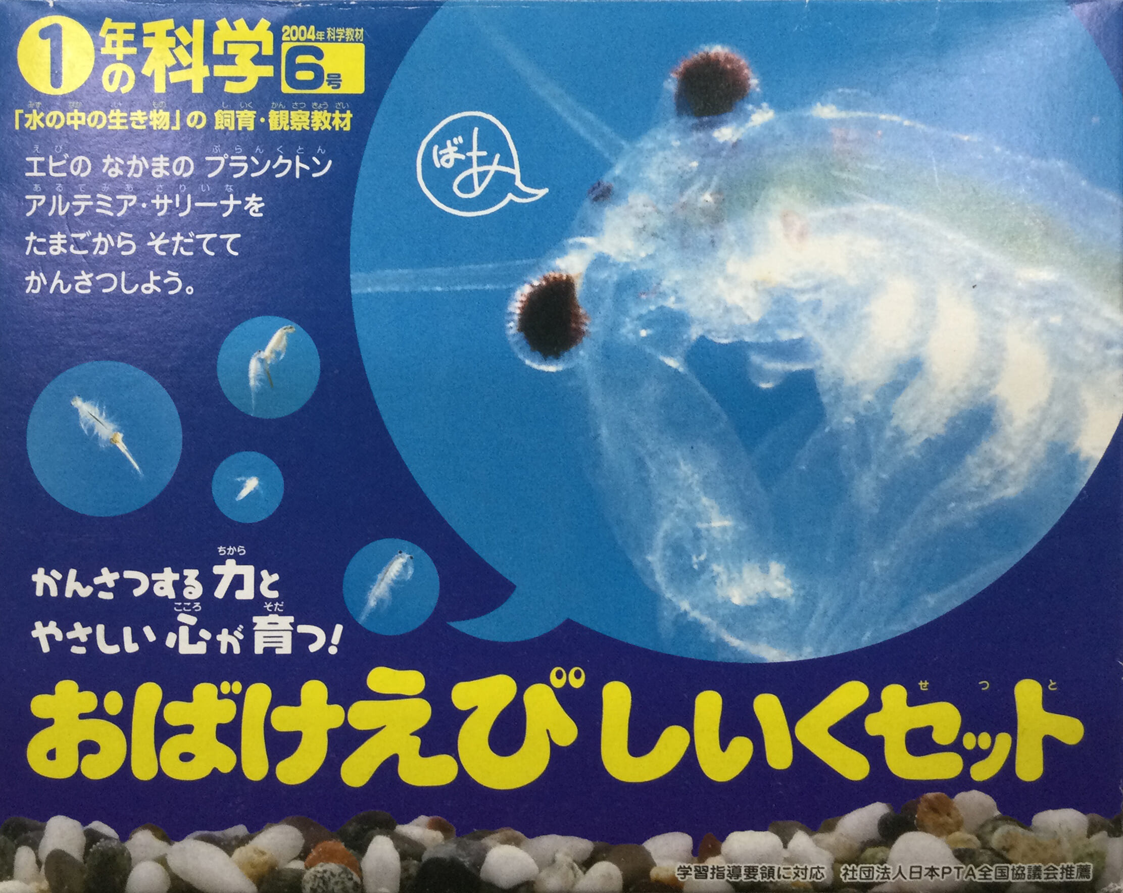 おばけえび しいくセット