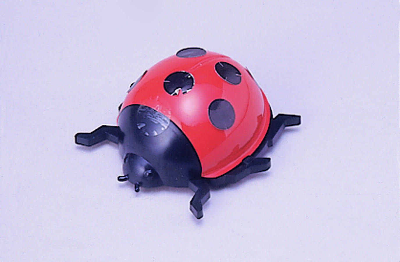 じしゃくてんとうむし