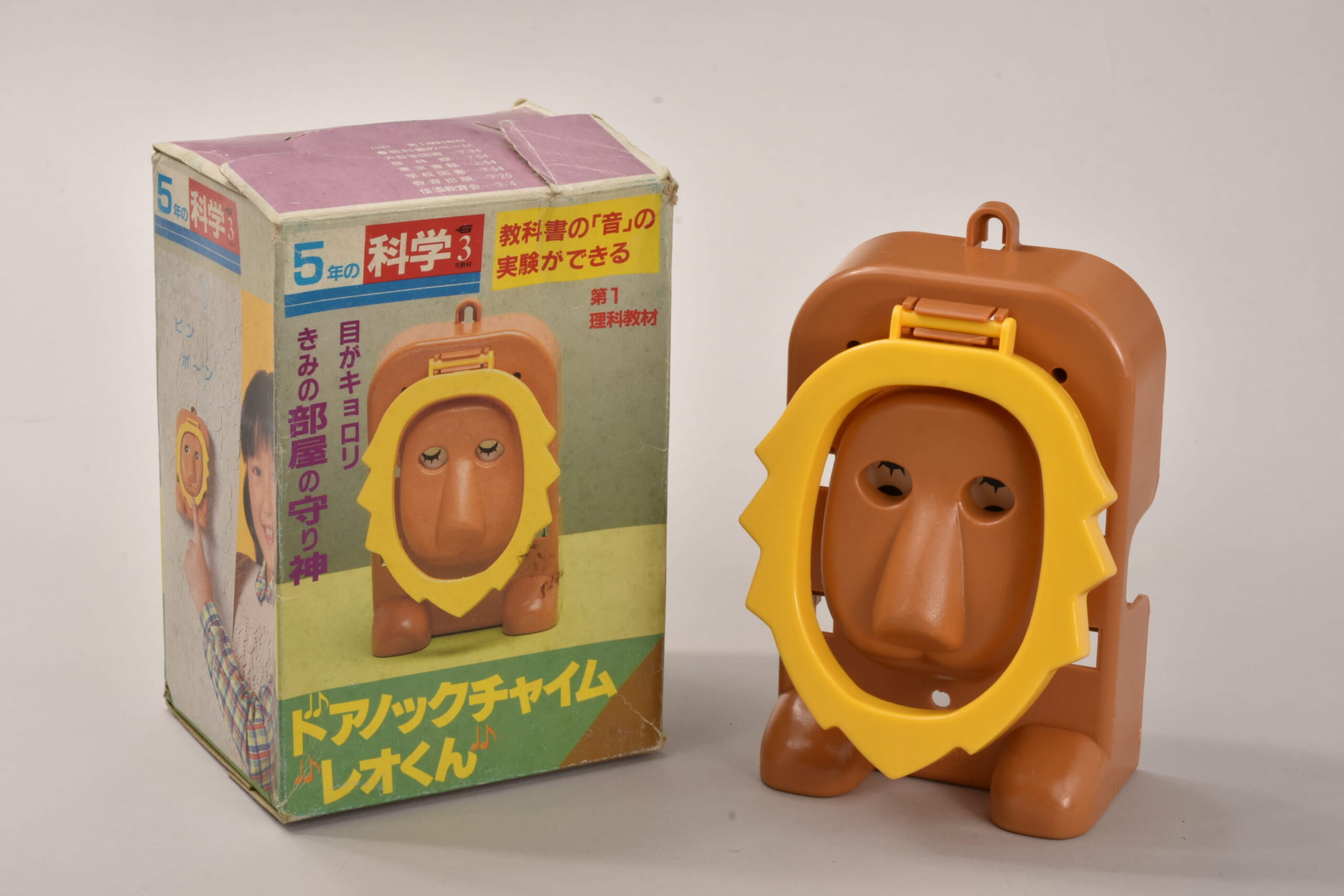 ふろく名前がわかりません