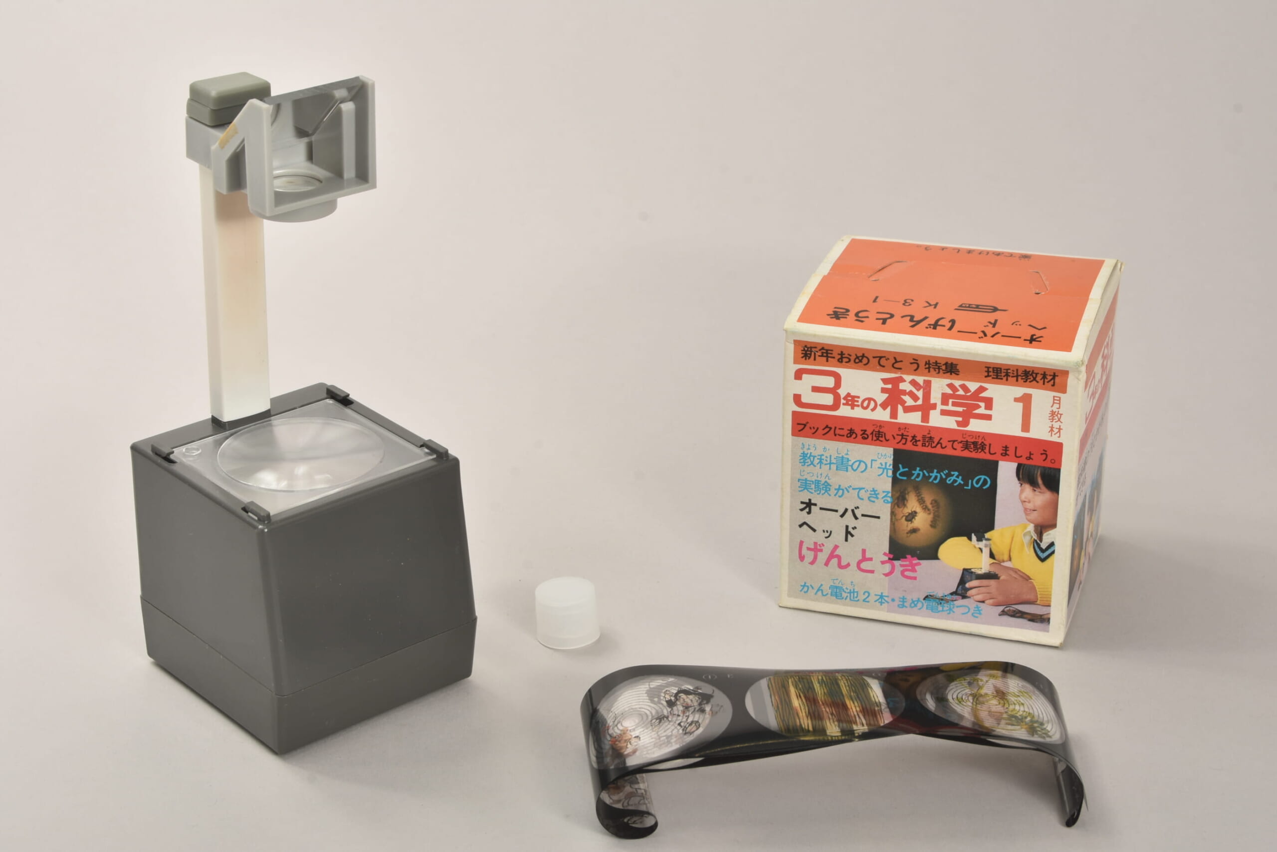 ふろく名前がわかりません