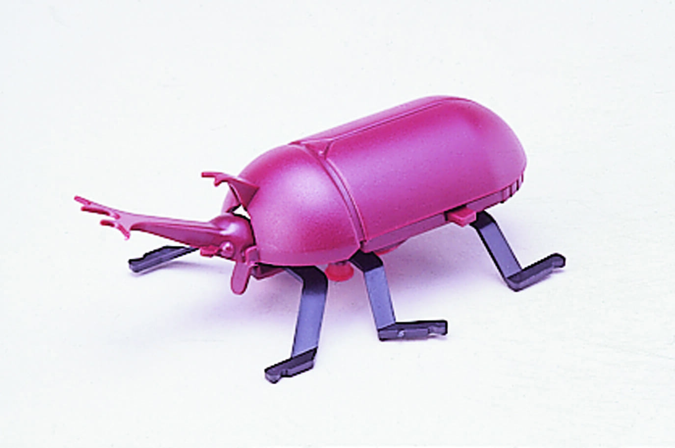 カブトムシ勉強マシン
