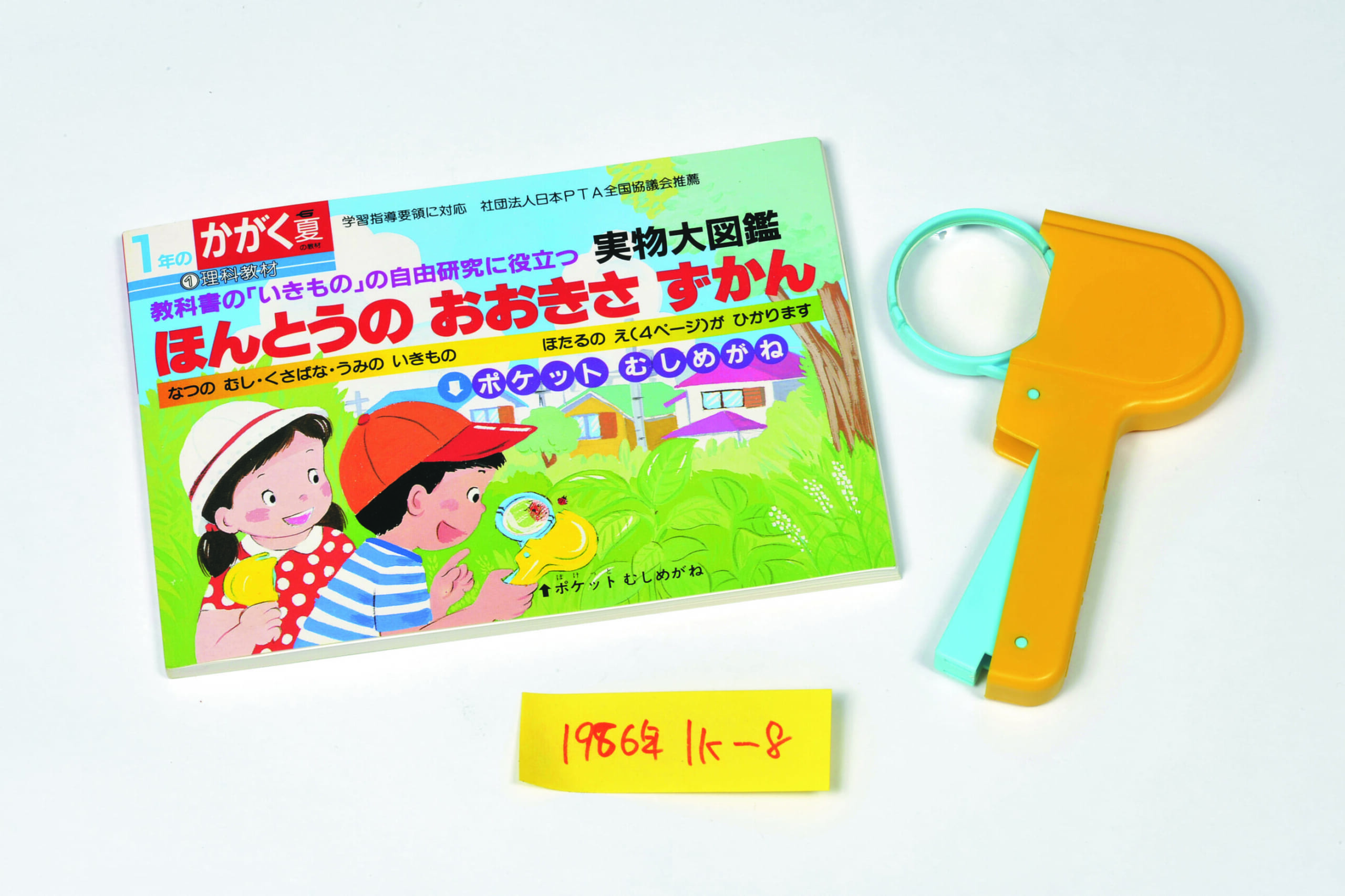 ほんとうのおおきさずかん　ポケットむしめがね