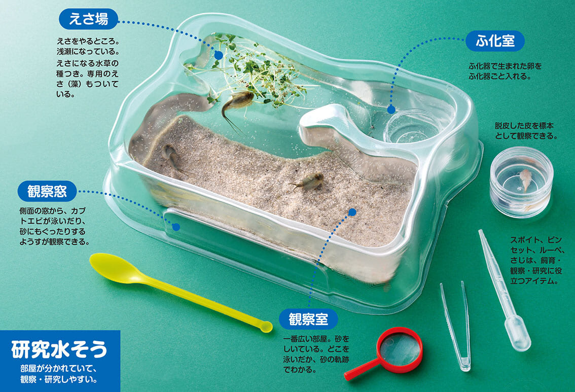 古代生物カブトエビの世界