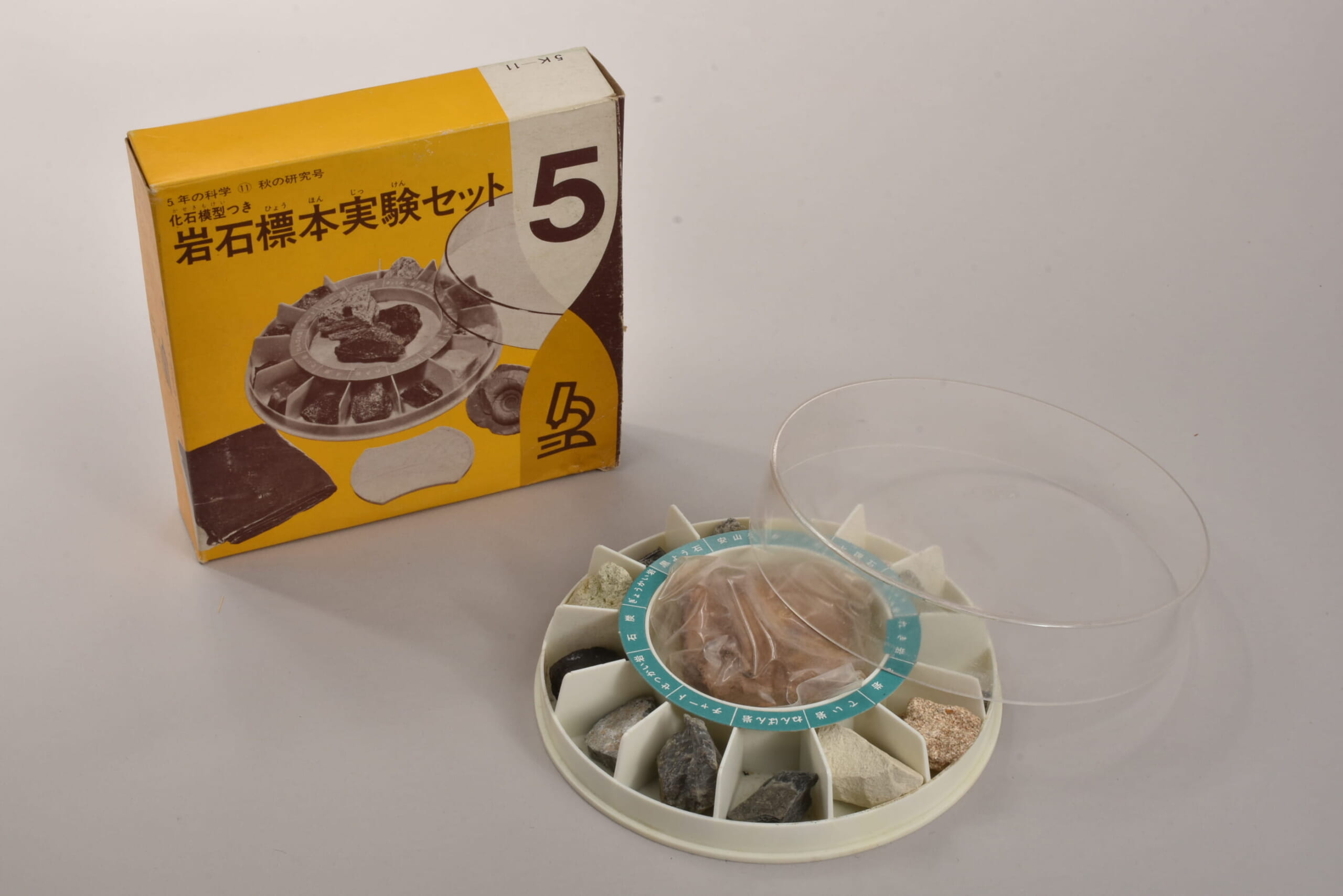 化石模型つき　岩石標本実験セット