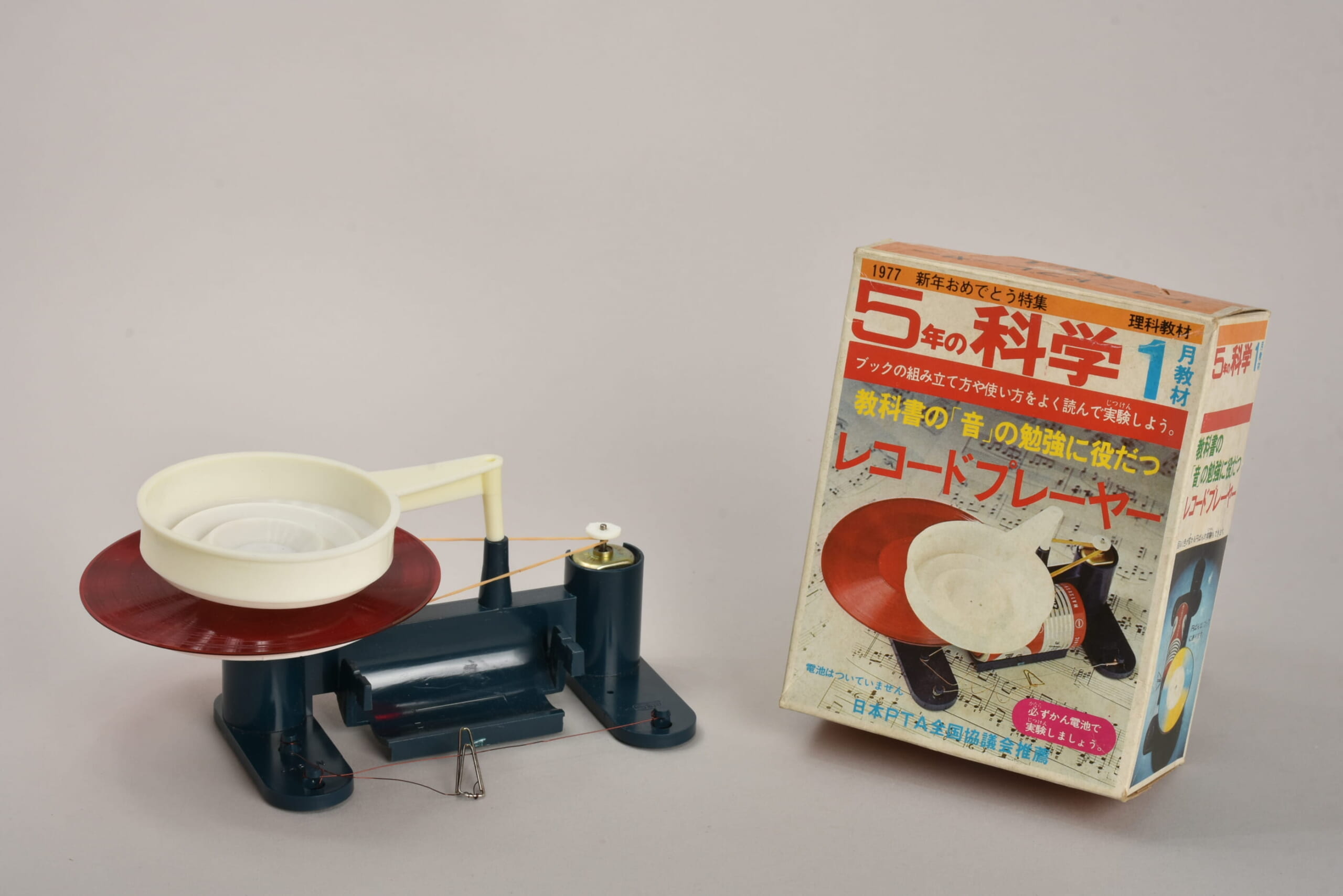 ふろく名前がわかりません