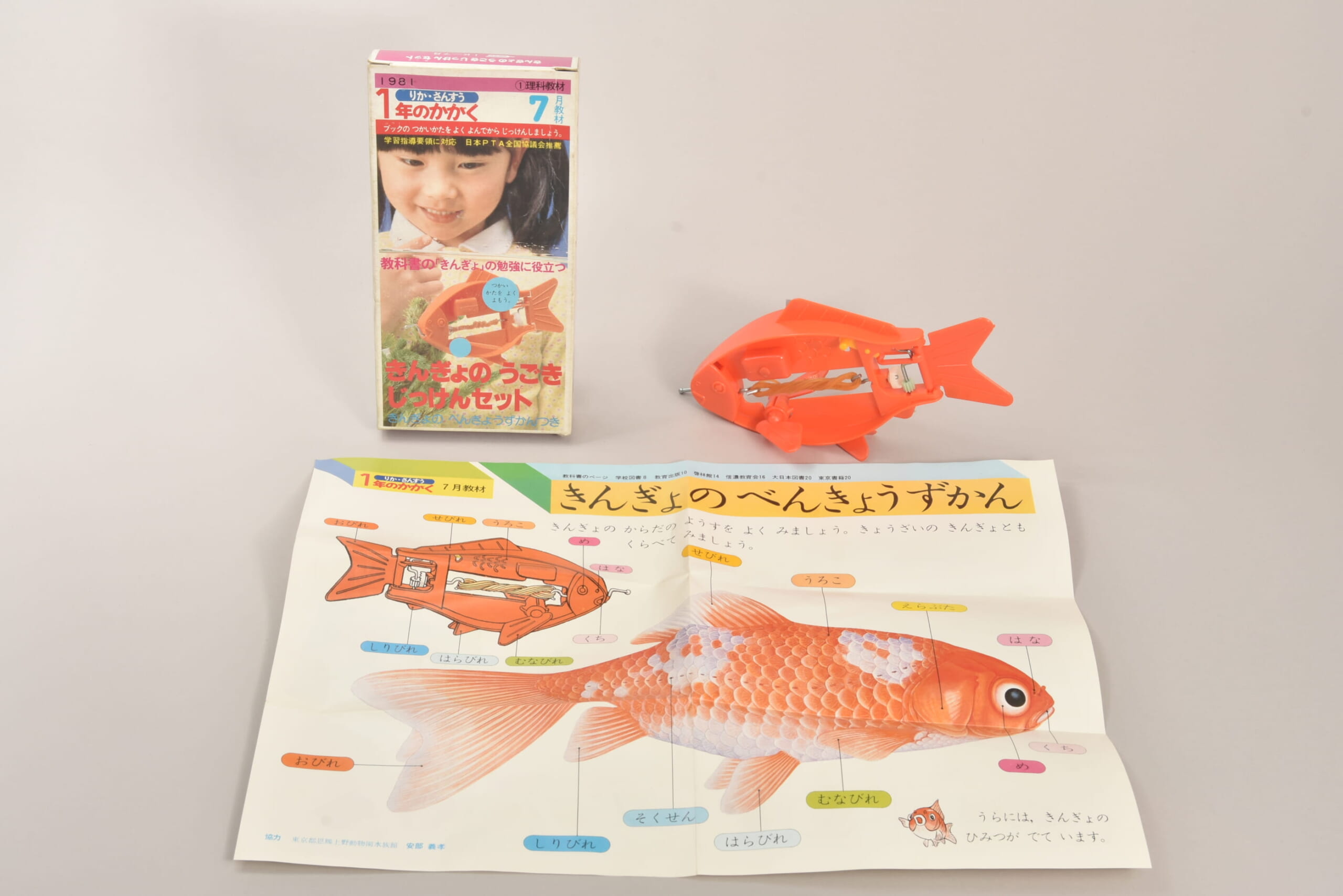 きんぎょのうごき じっけんセット