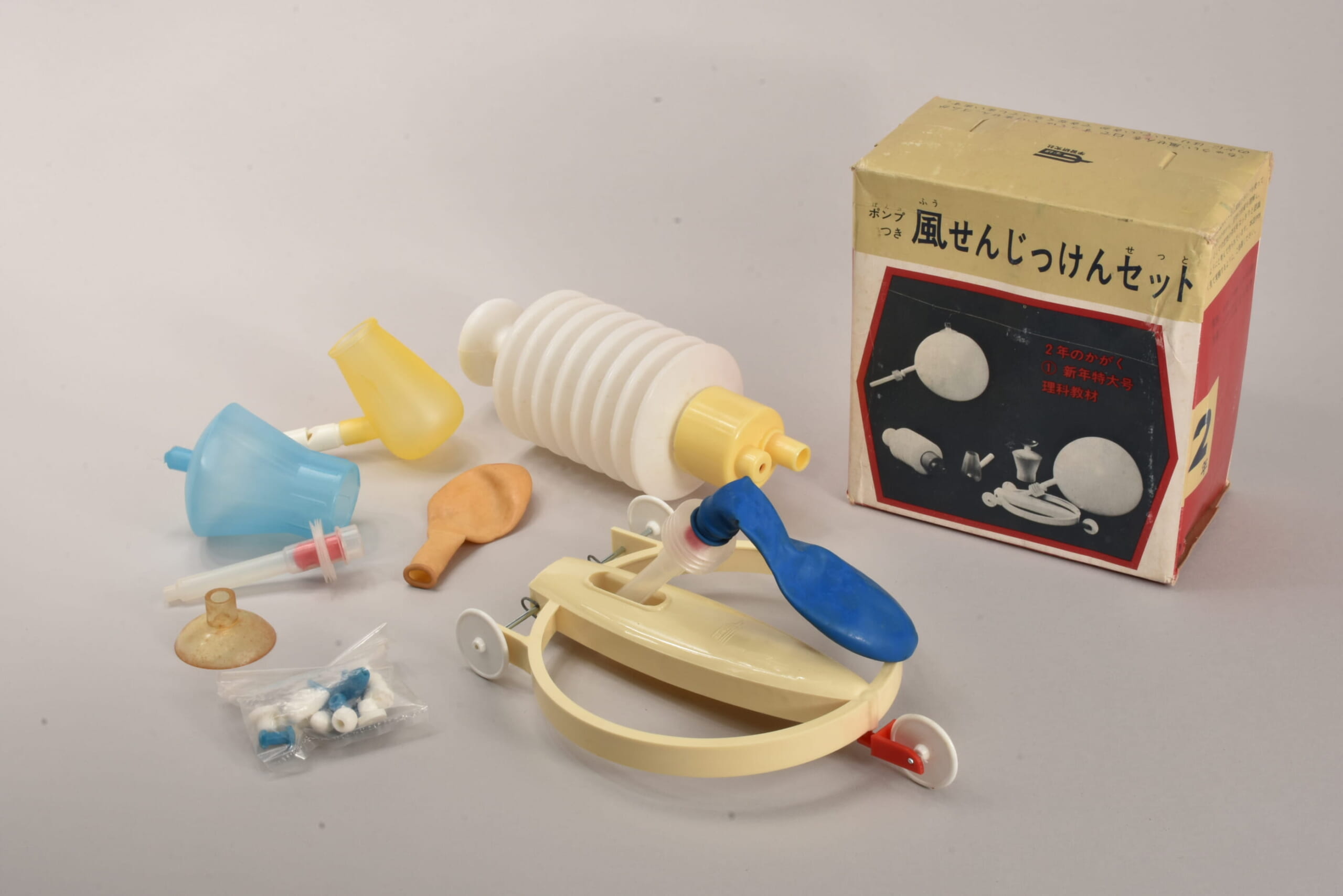 ふろく名前がわかりません