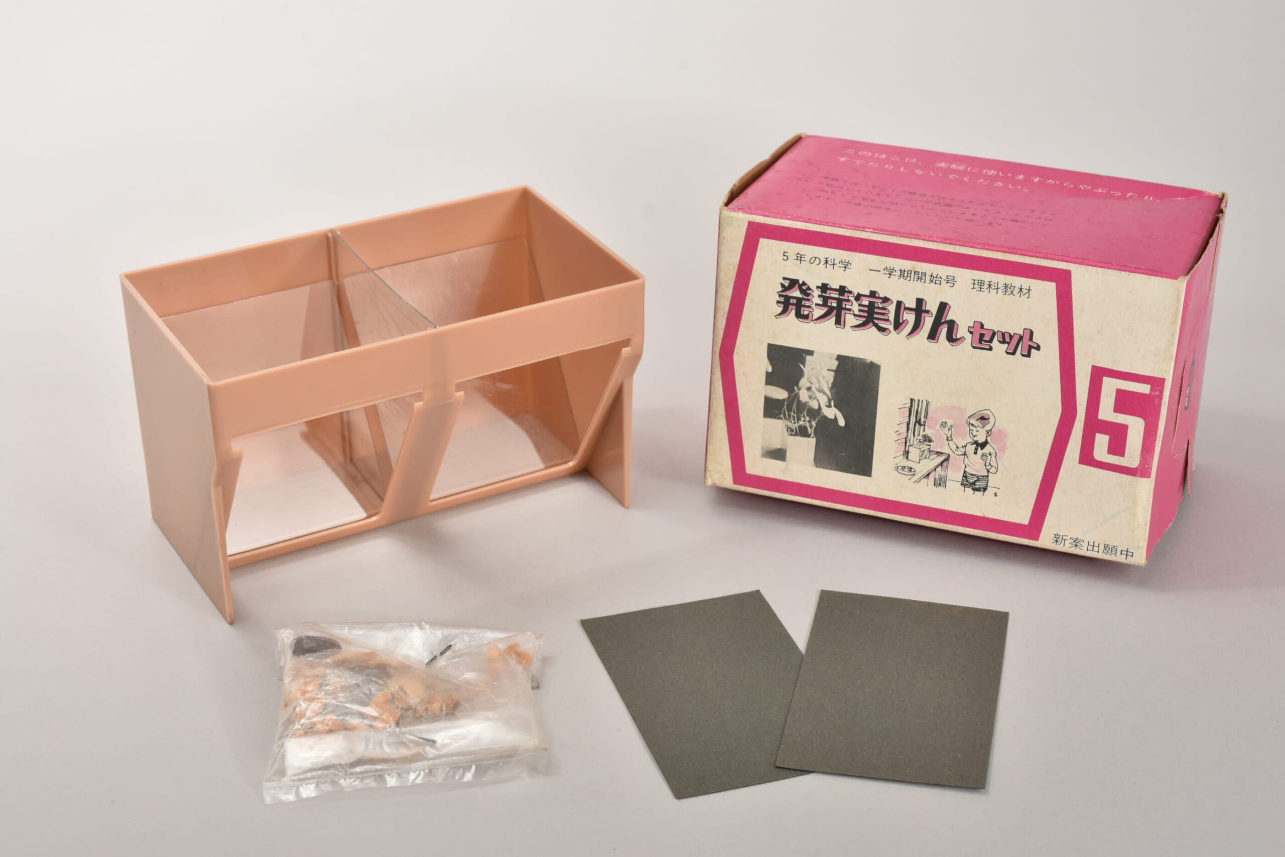 発芽実けんセット