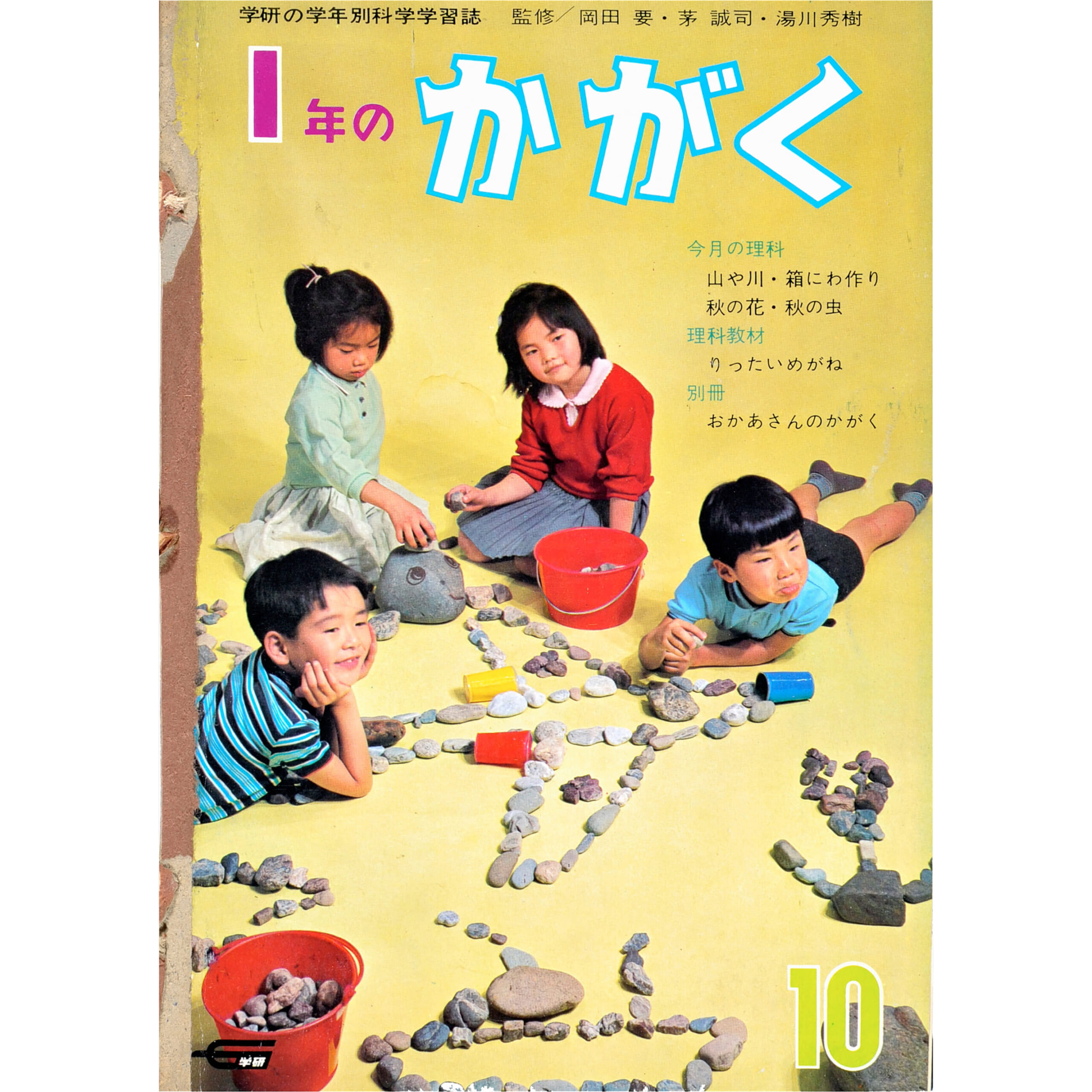 りったいめがね