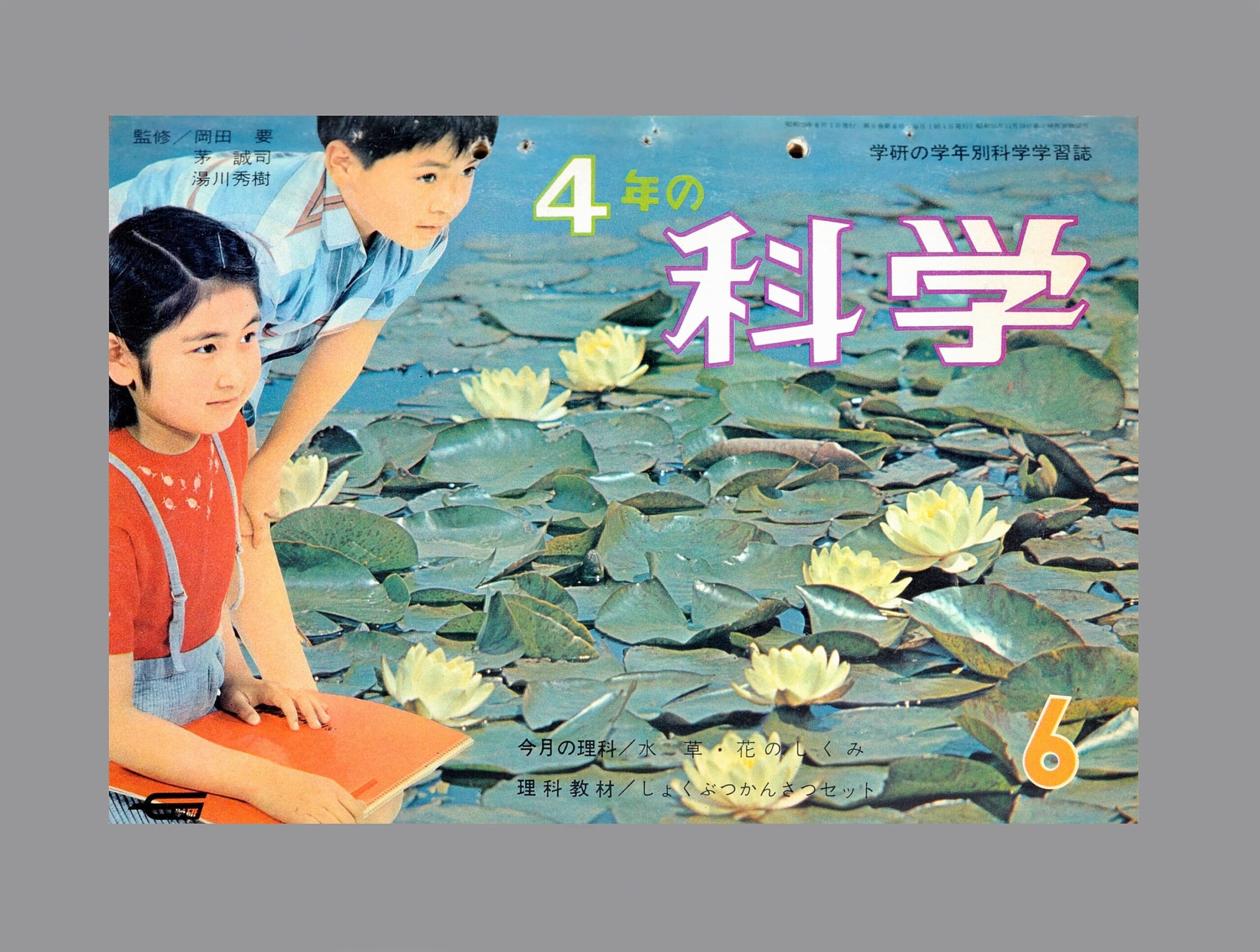 しょくぶつかんさつセット