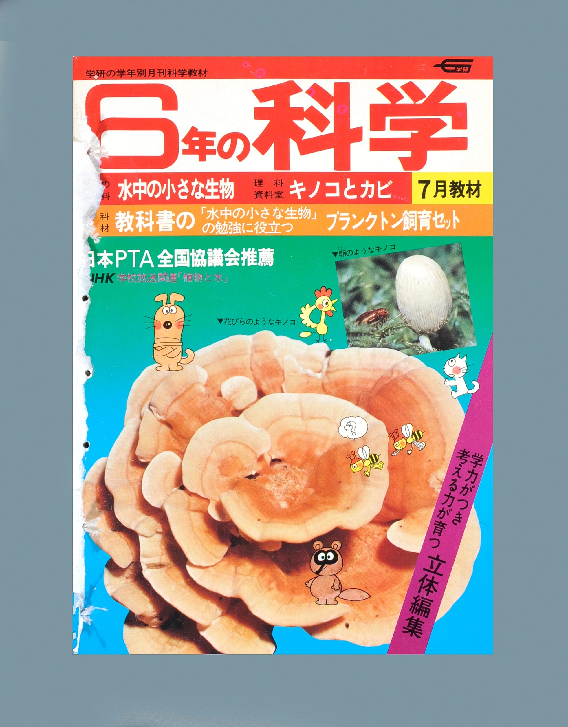 ふろく画像