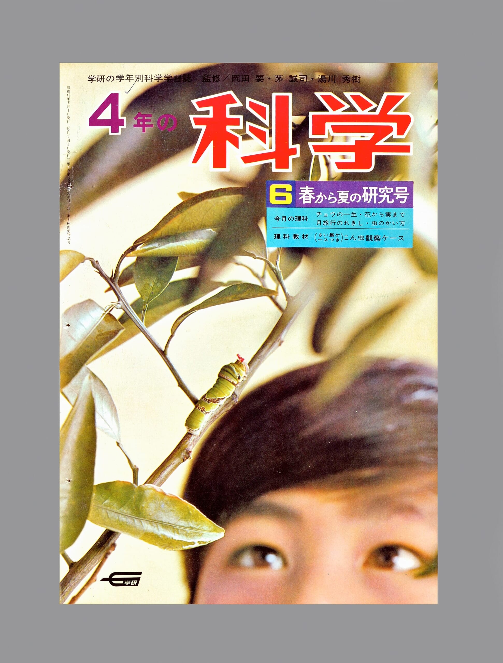 ふろく画像
