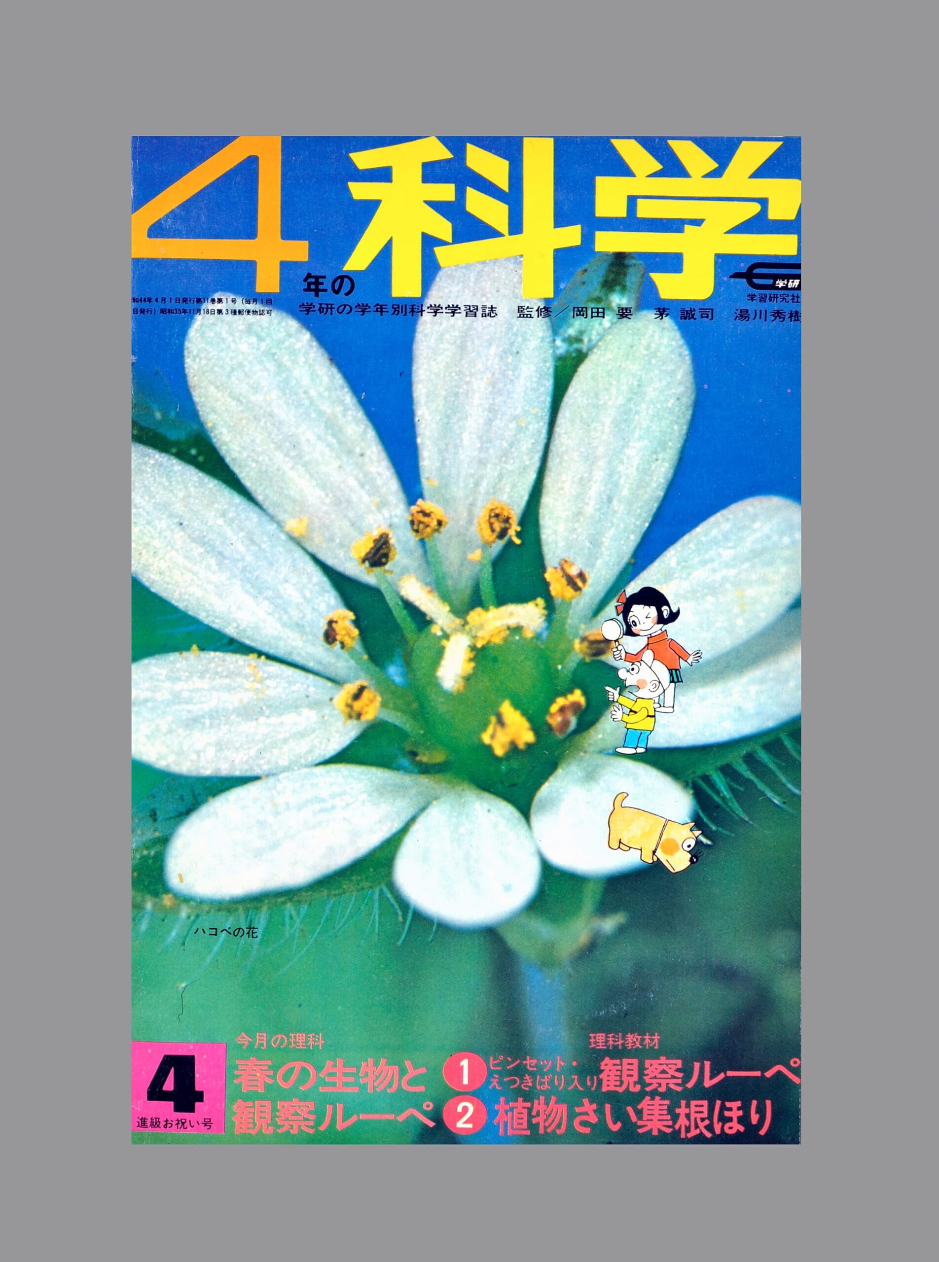 ふろく画像