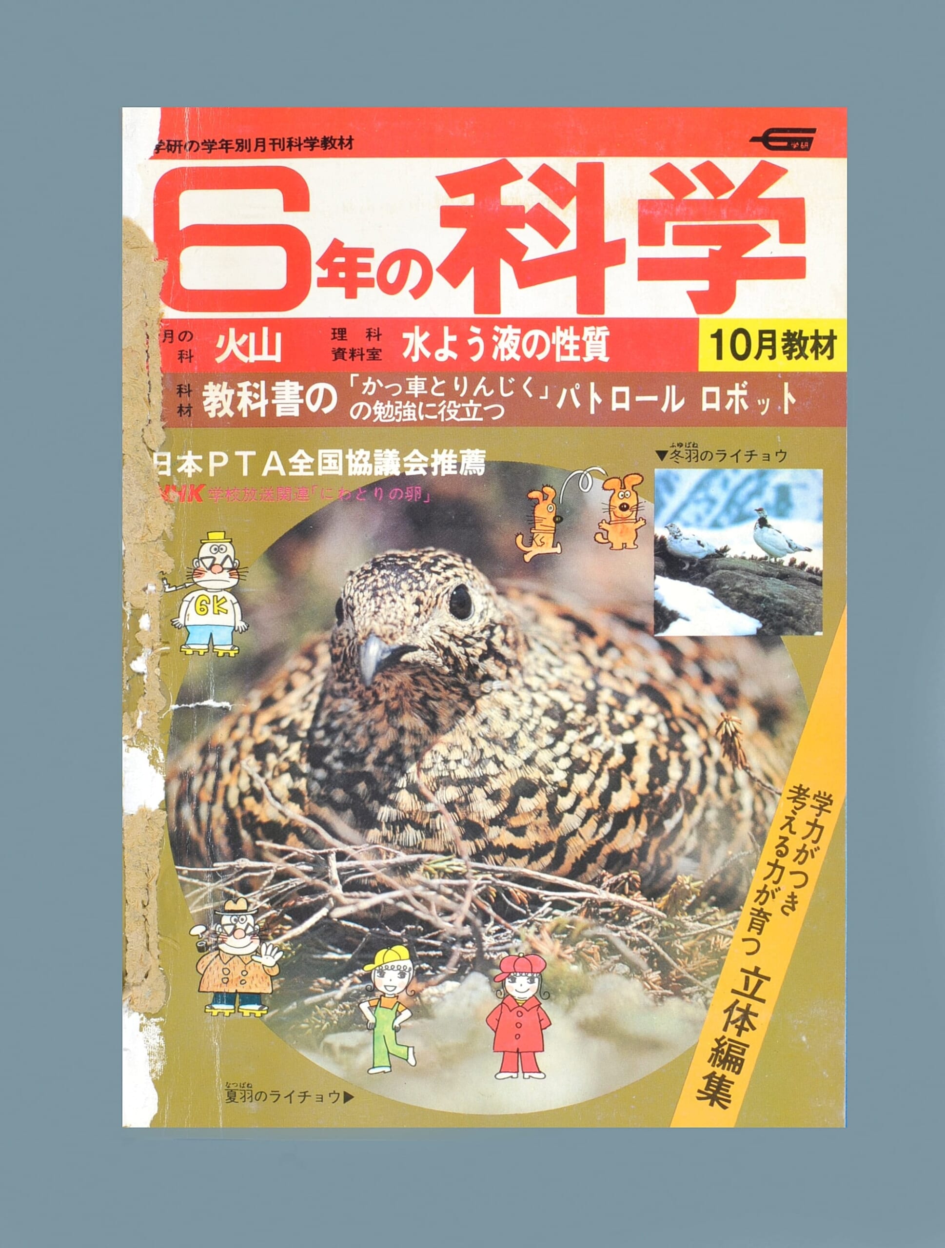 ふろく画像