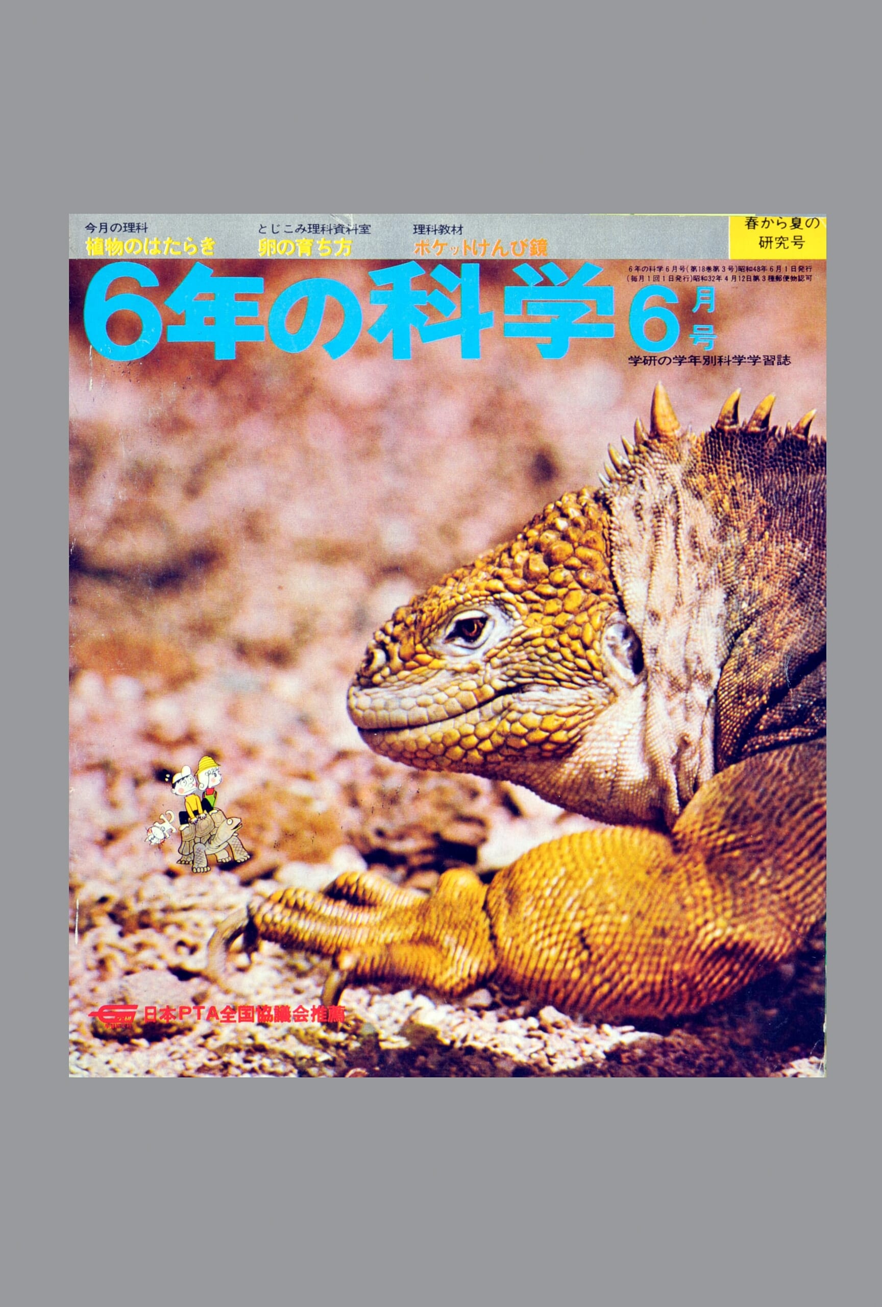 ふろく画像