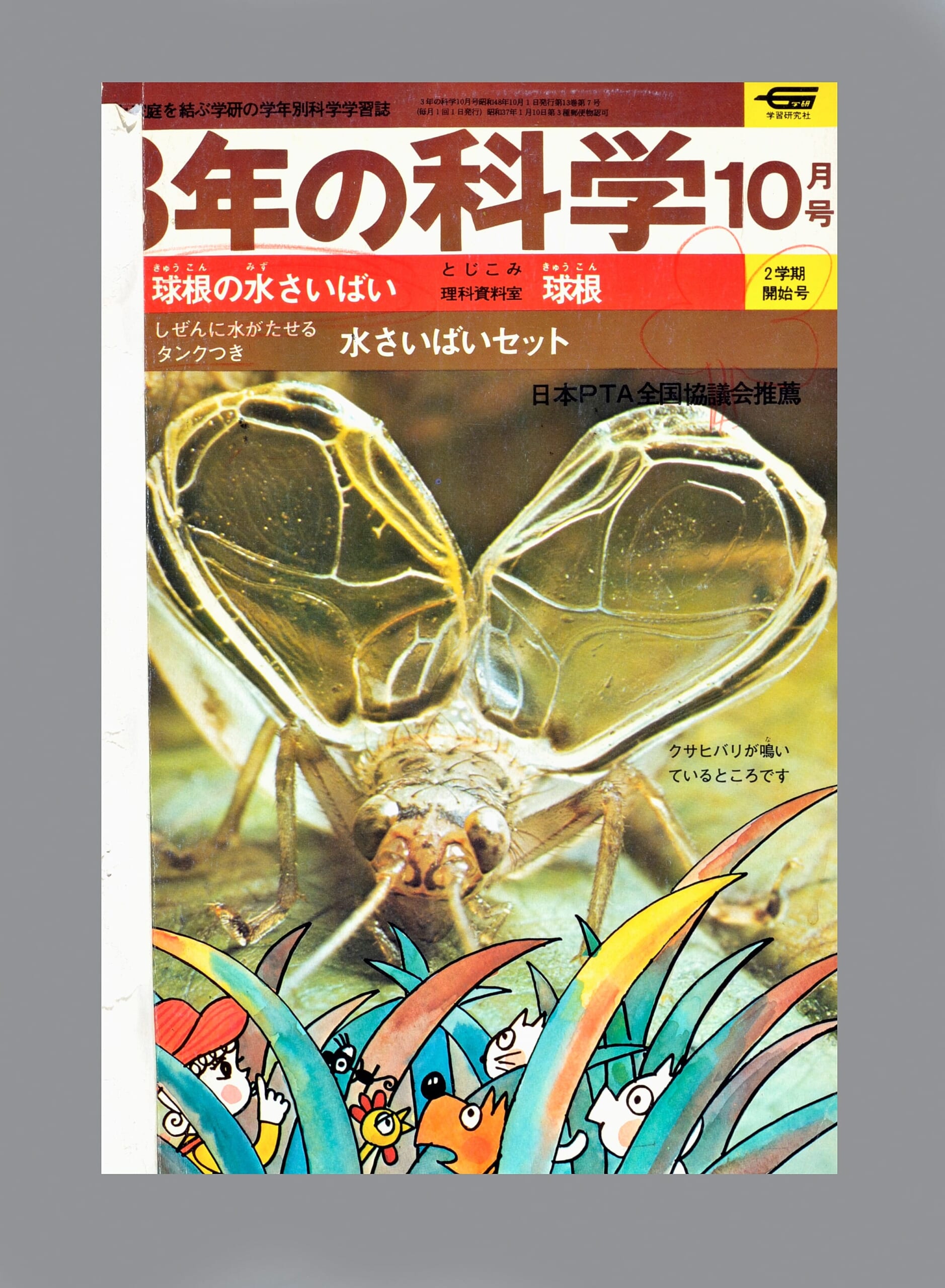ふろく画像