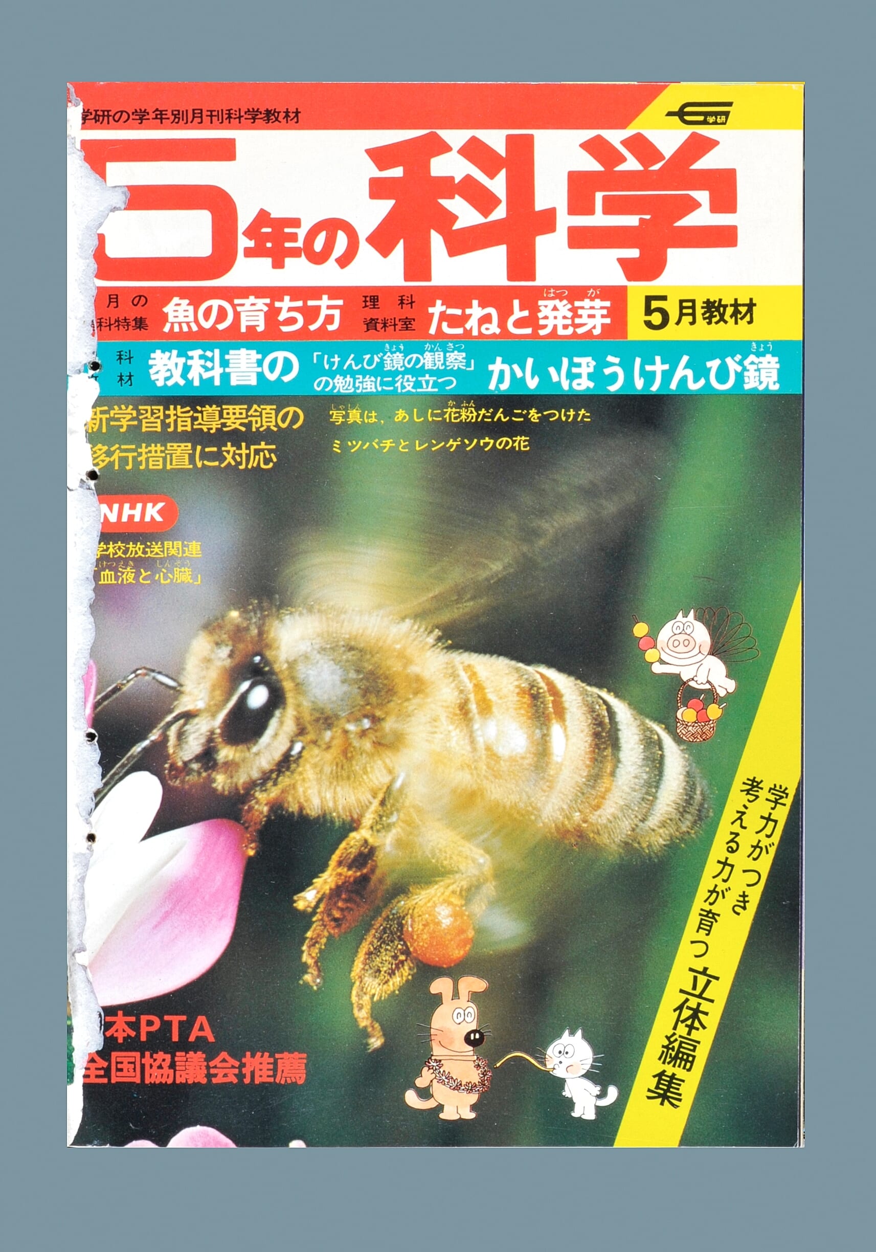 ふろく画像