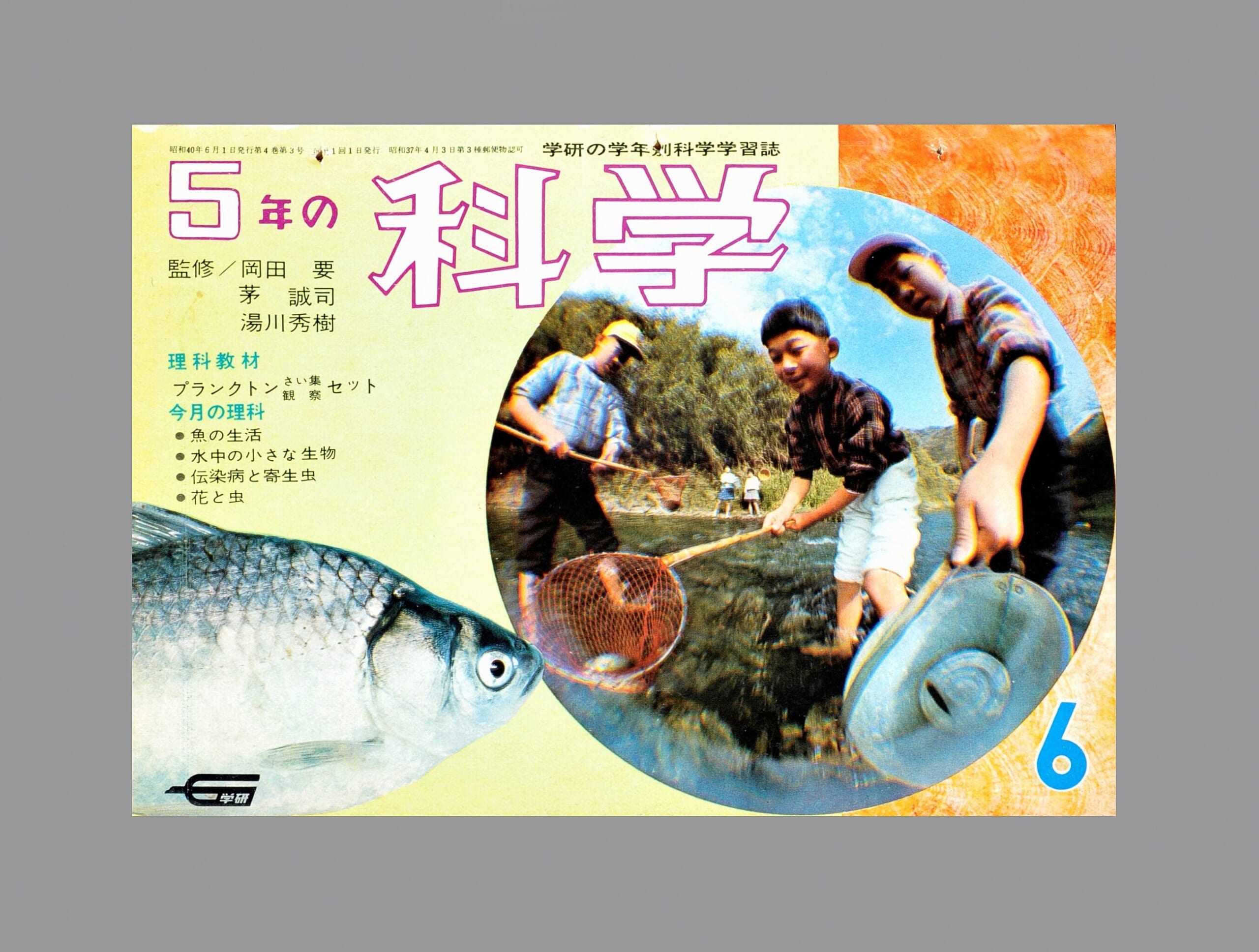 プランクトンさい集・観察セット