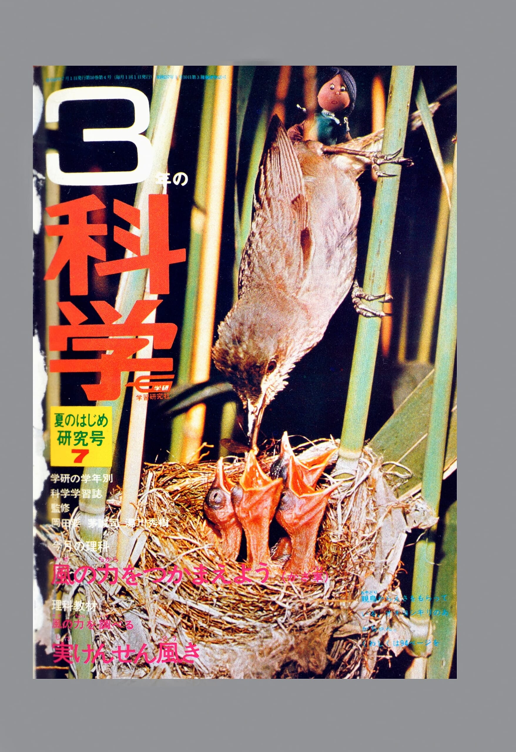 ふろく画像