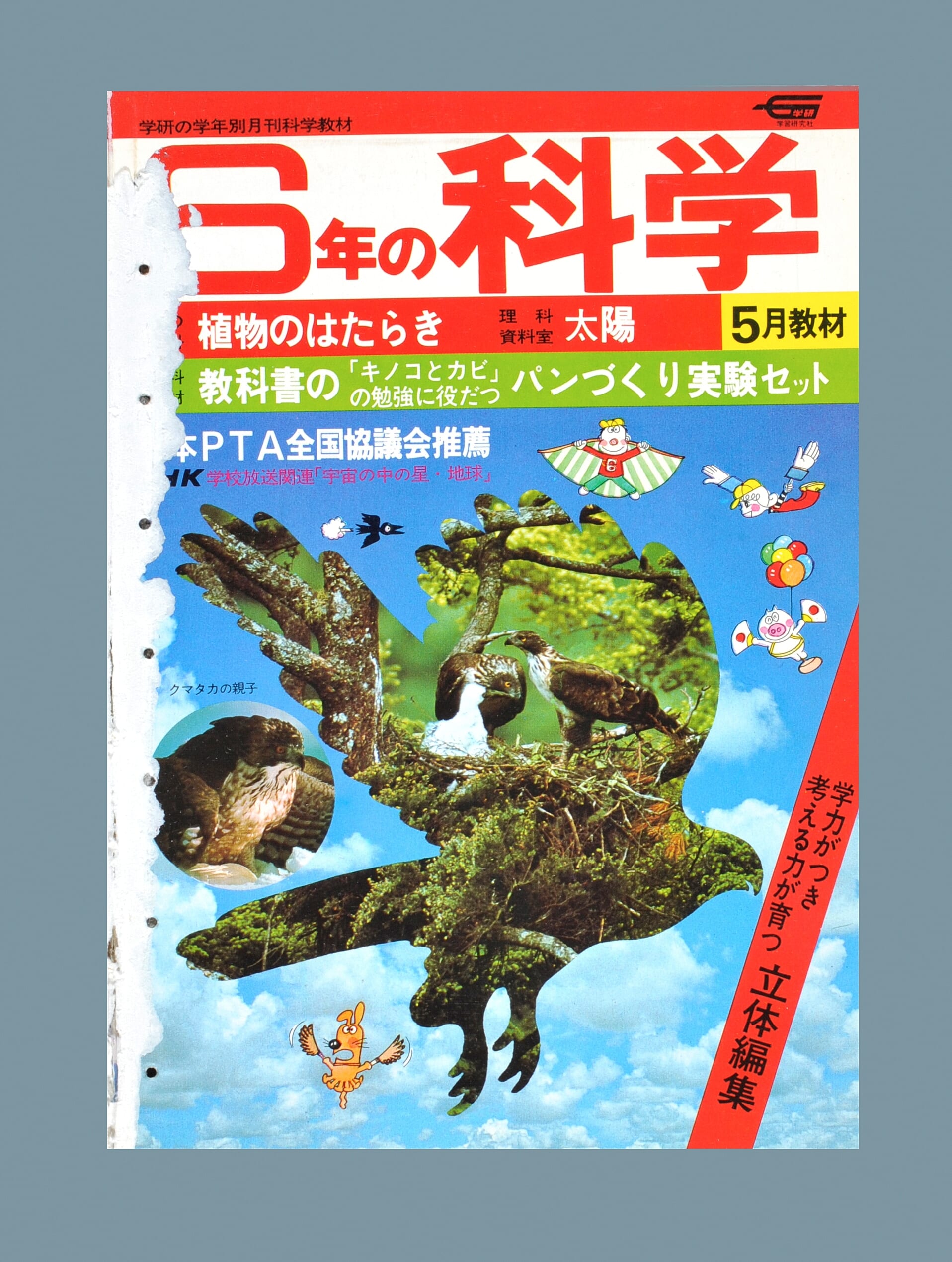 ふろく画像