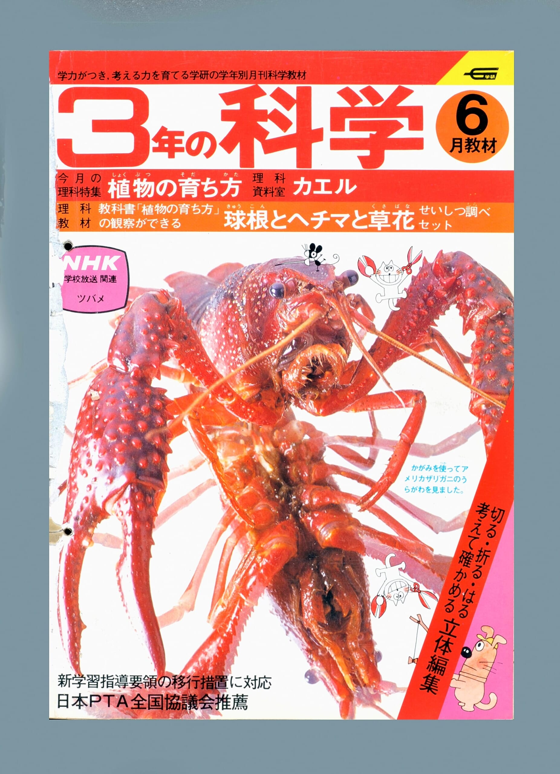 ふろく画像