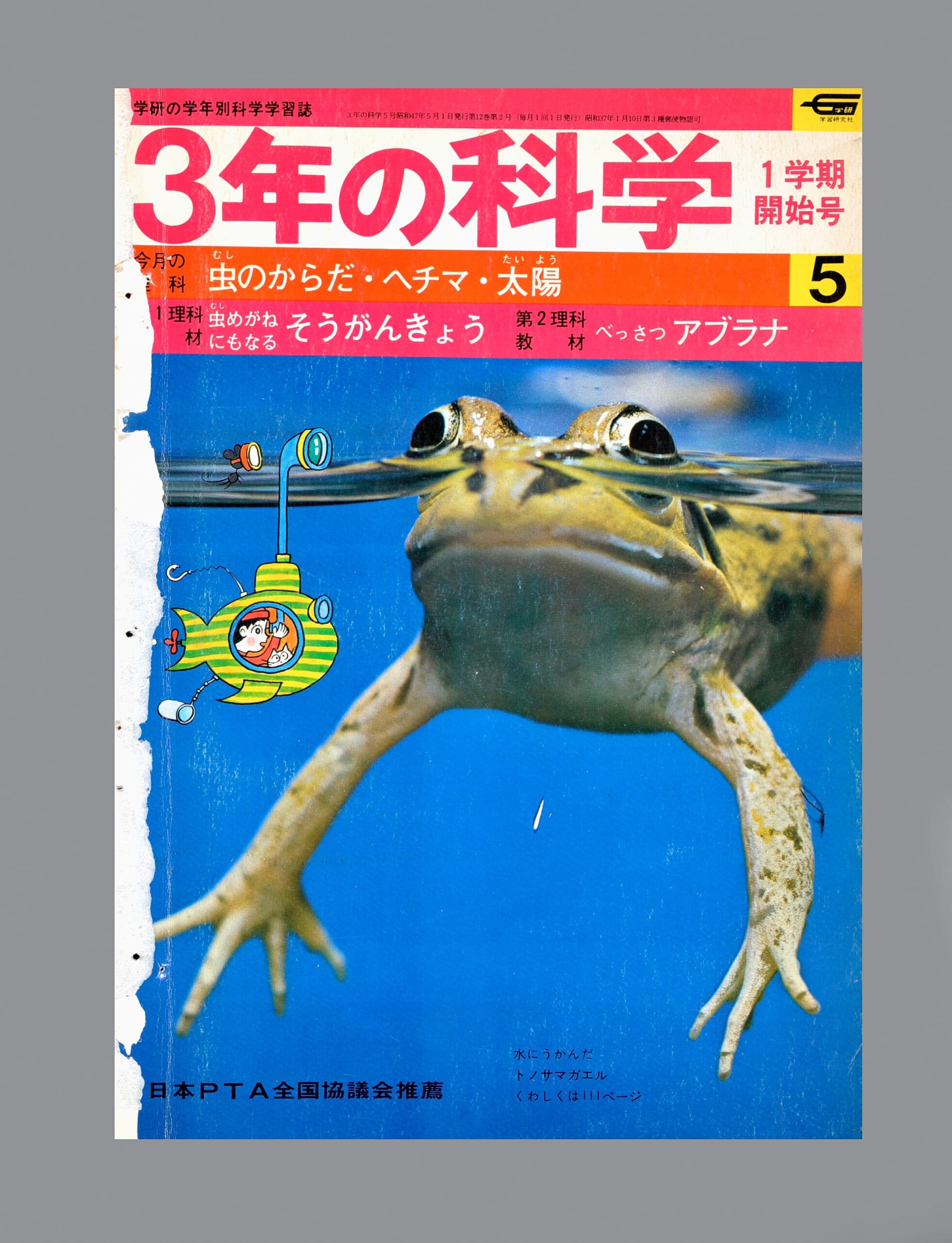ふろく画像