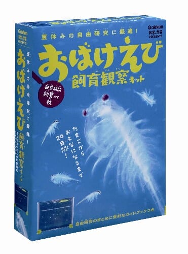 おばけえび飼育観察キット