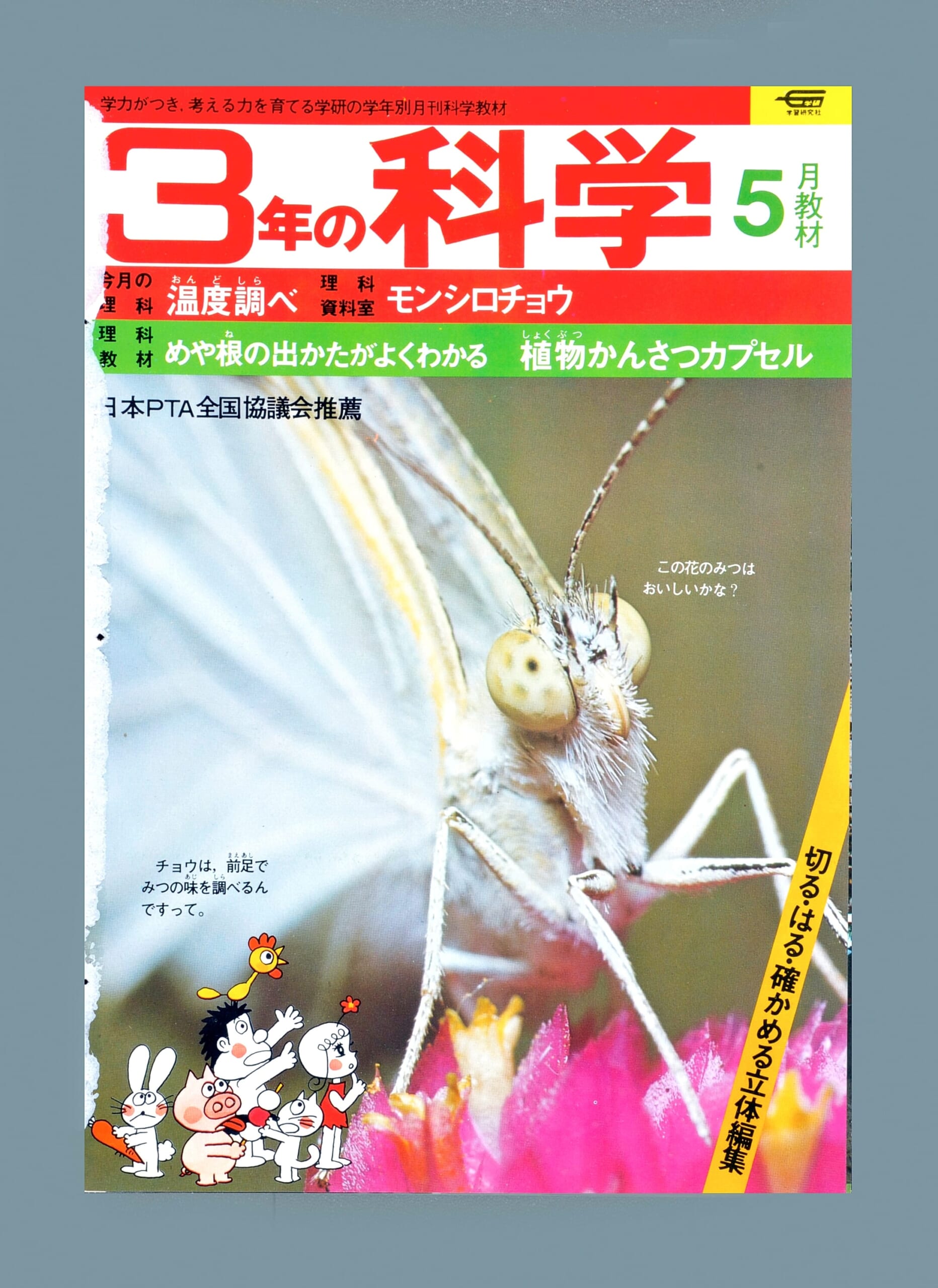 ふろく画像