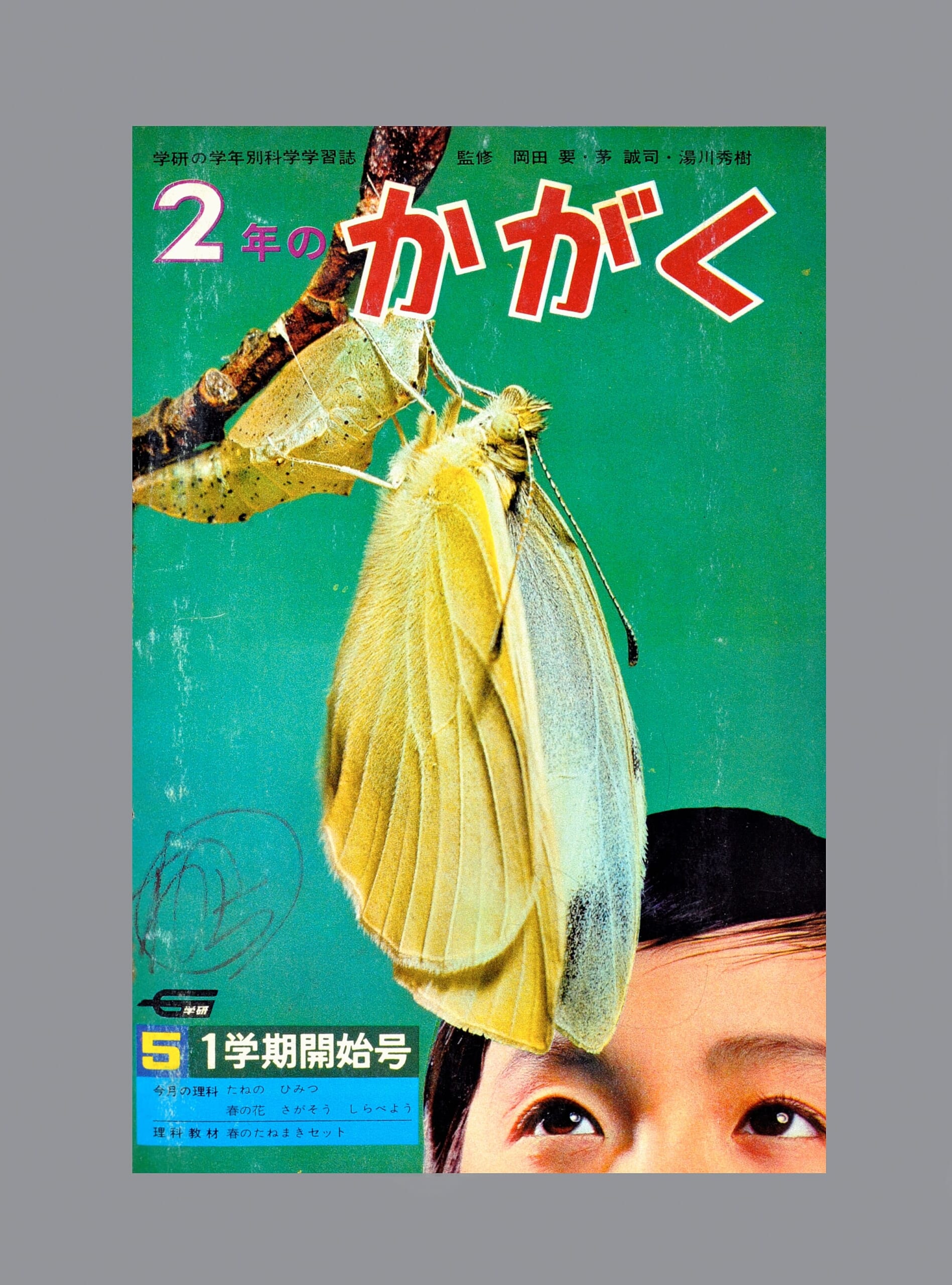 ふろく画像
