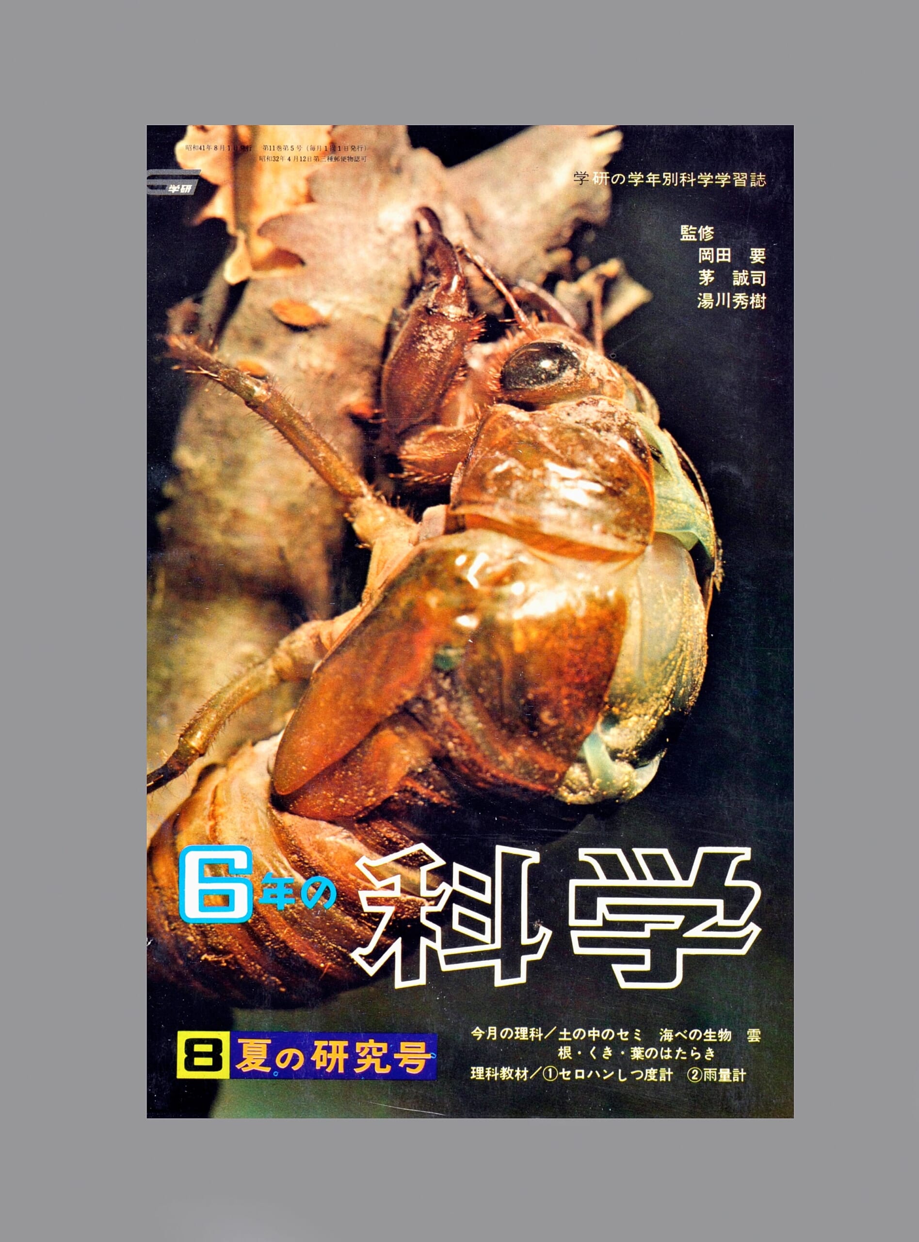 ふろく画像
