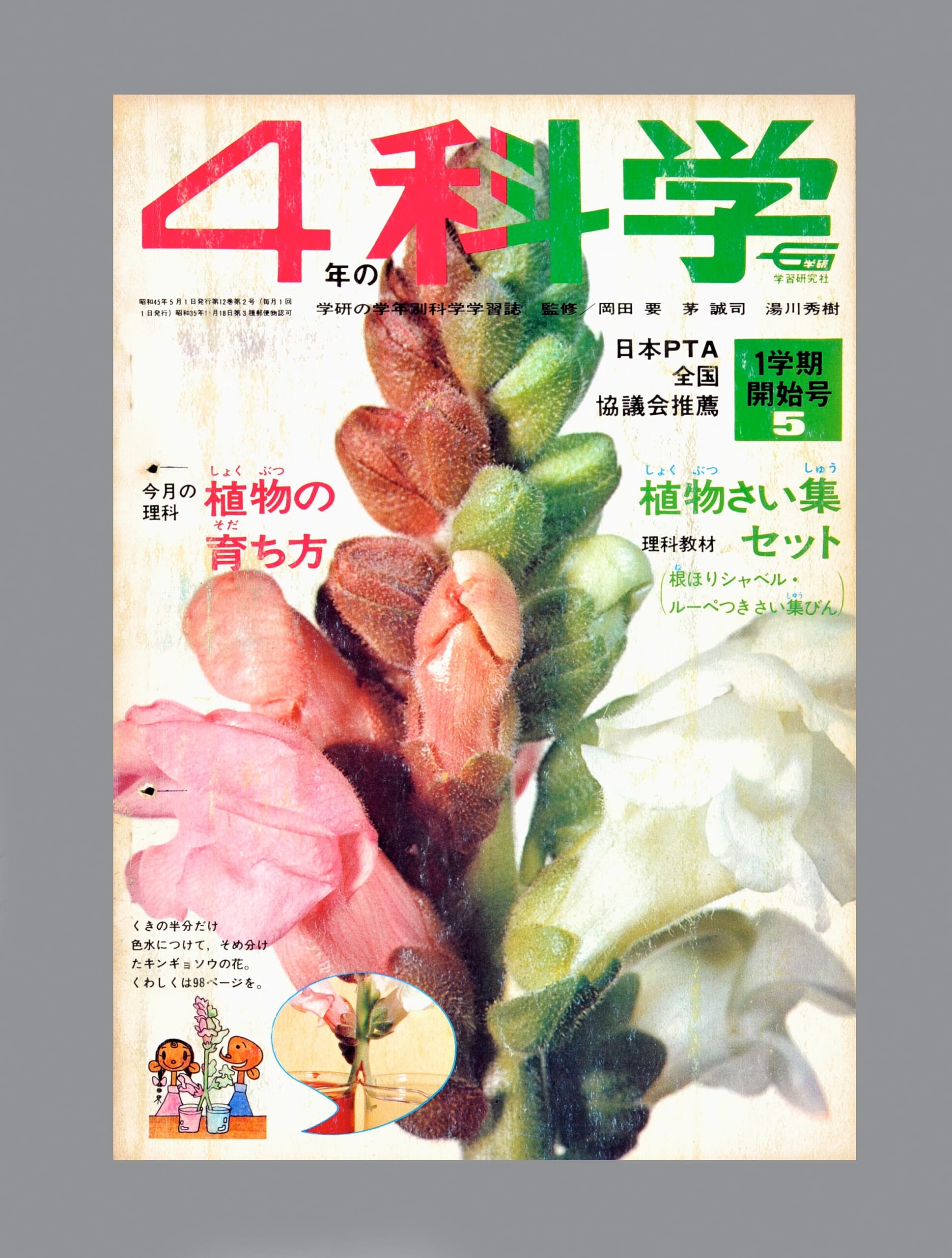 ふろく画像