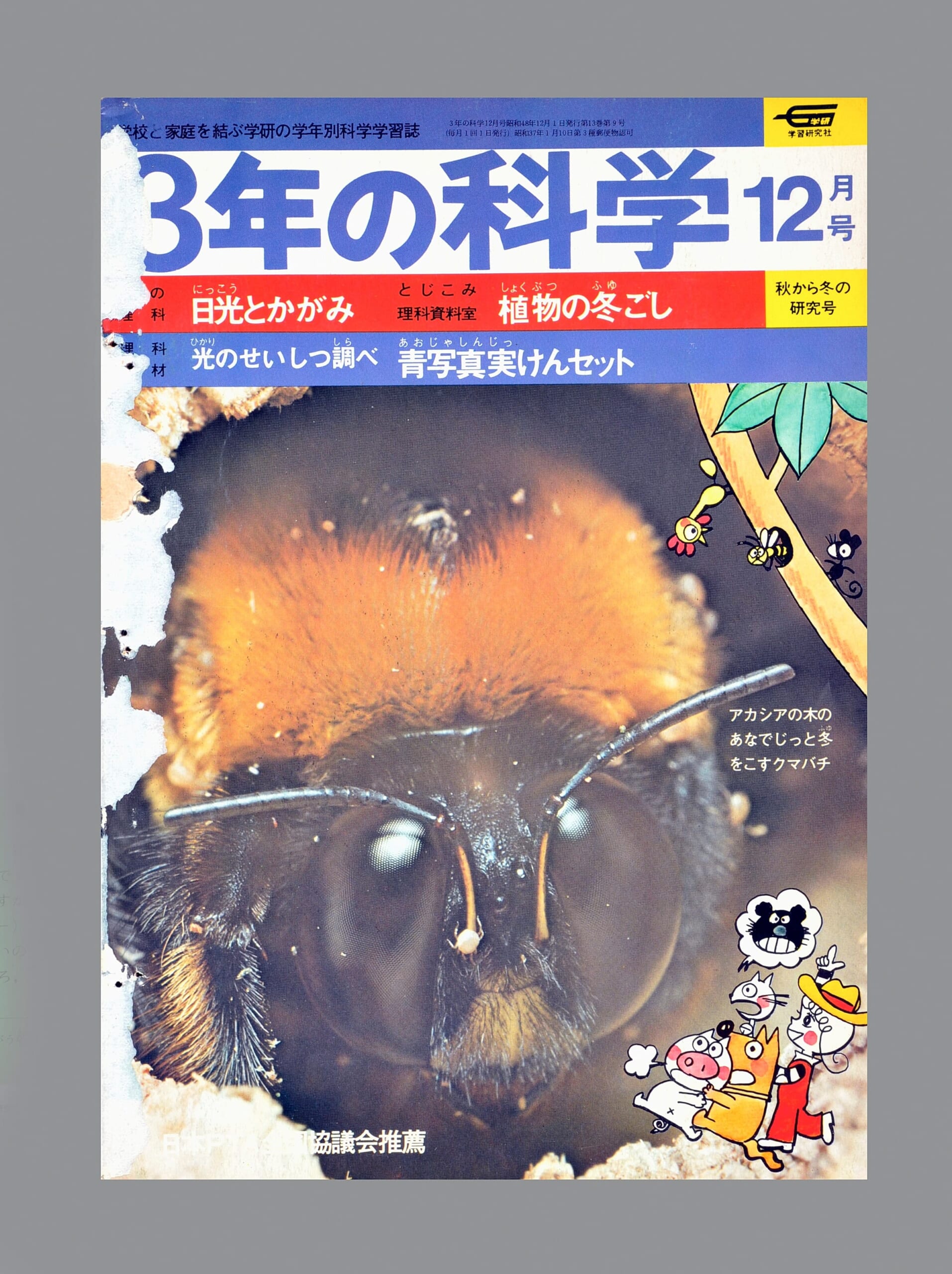 ふろく画像