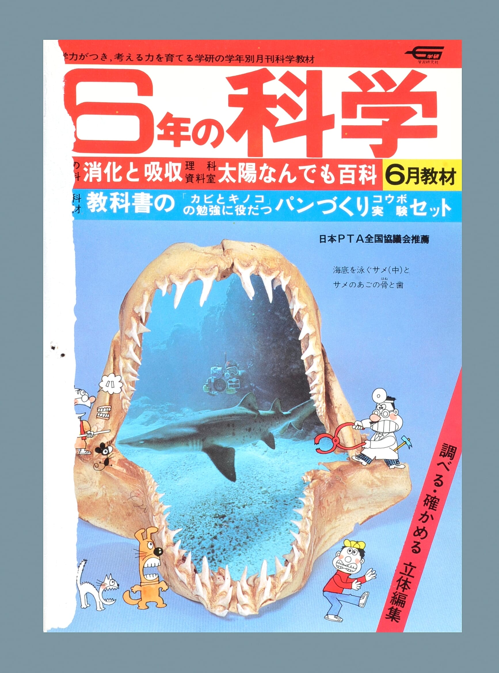 ふろく画像