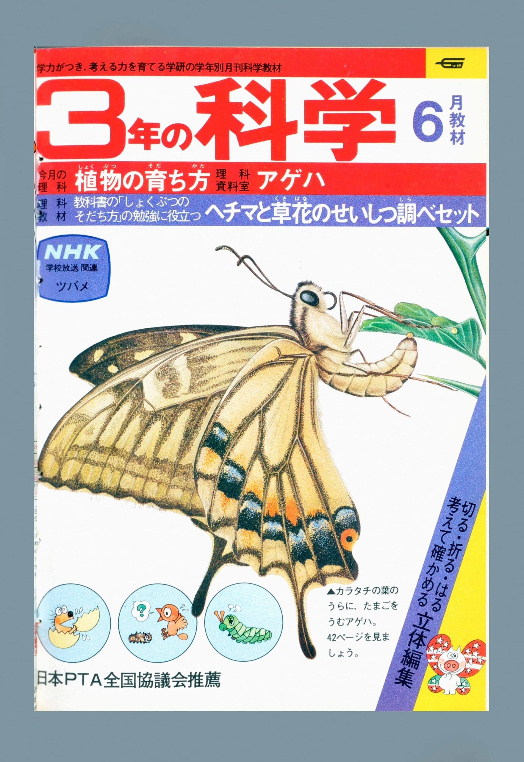 ふろく画像