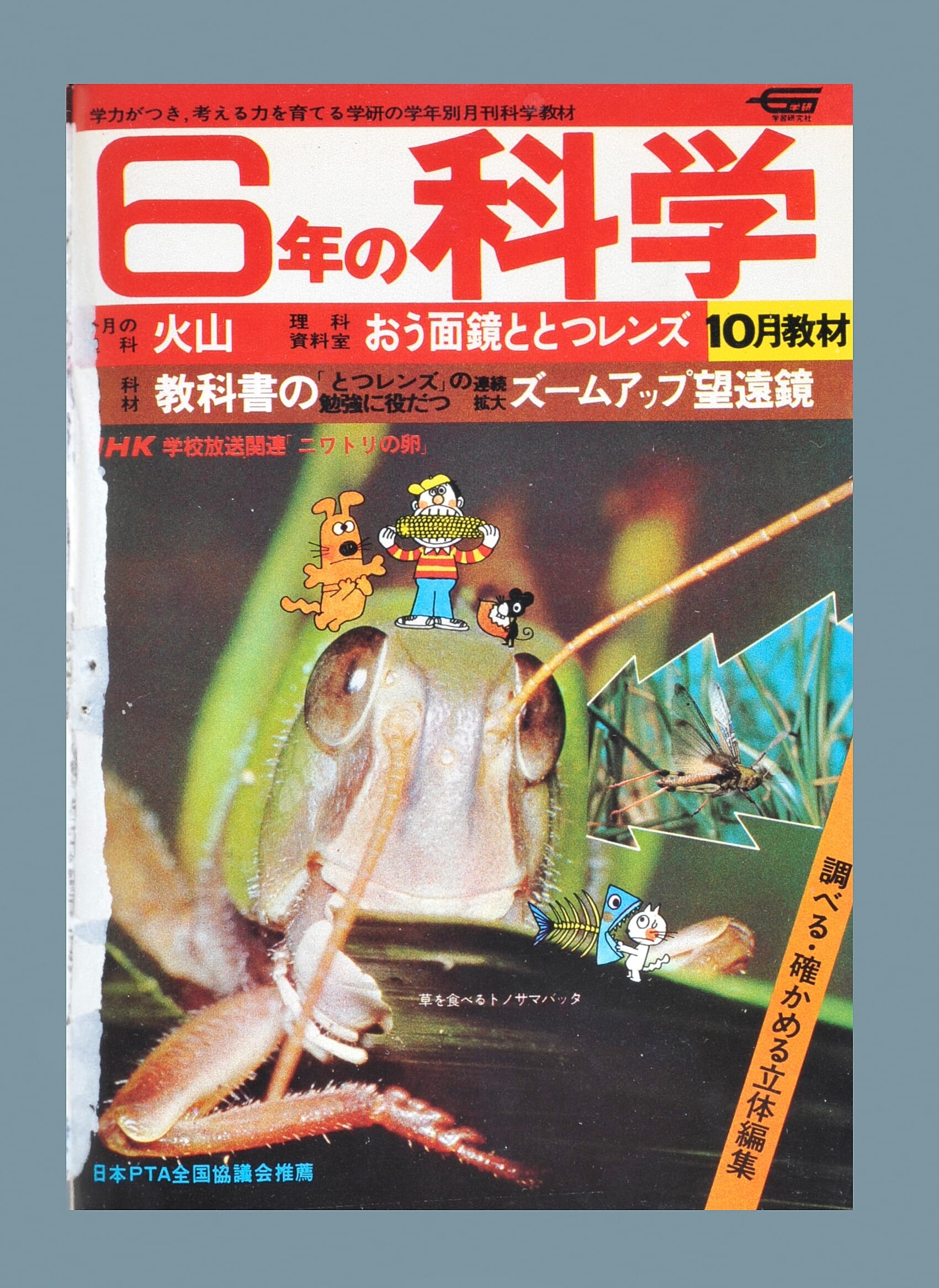 ふろく画像