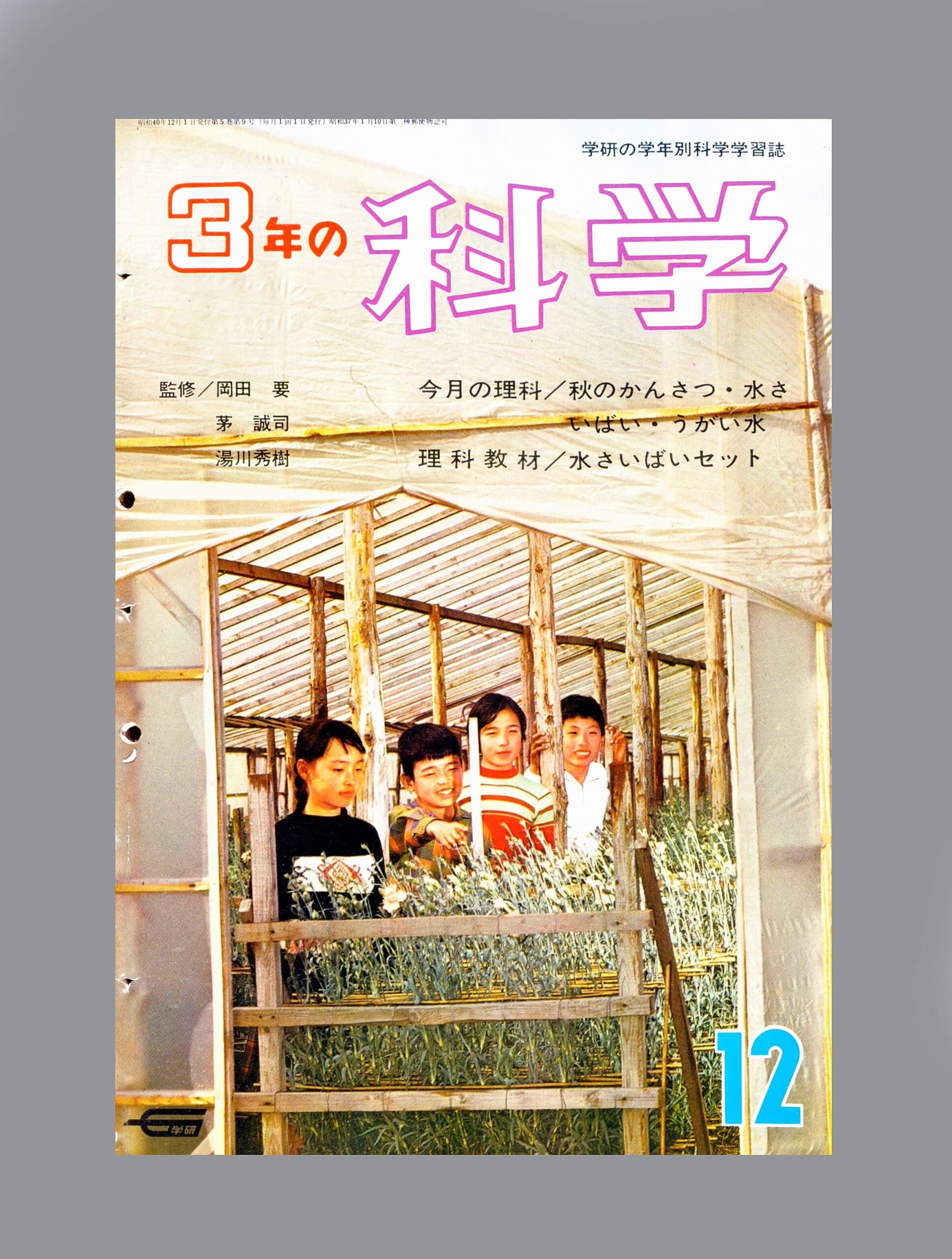水さいばいセット