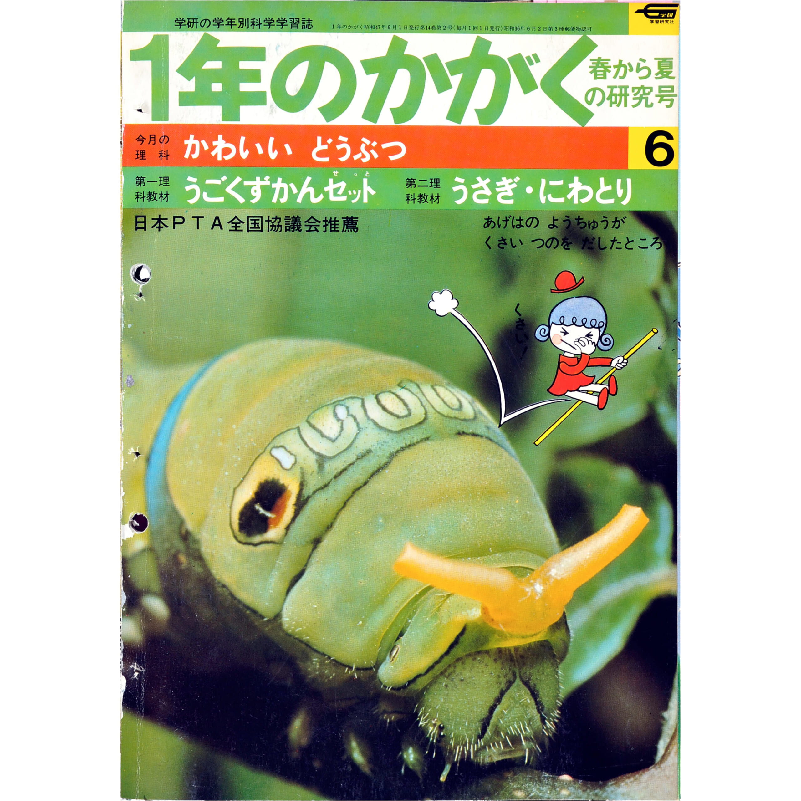 ふろく画像