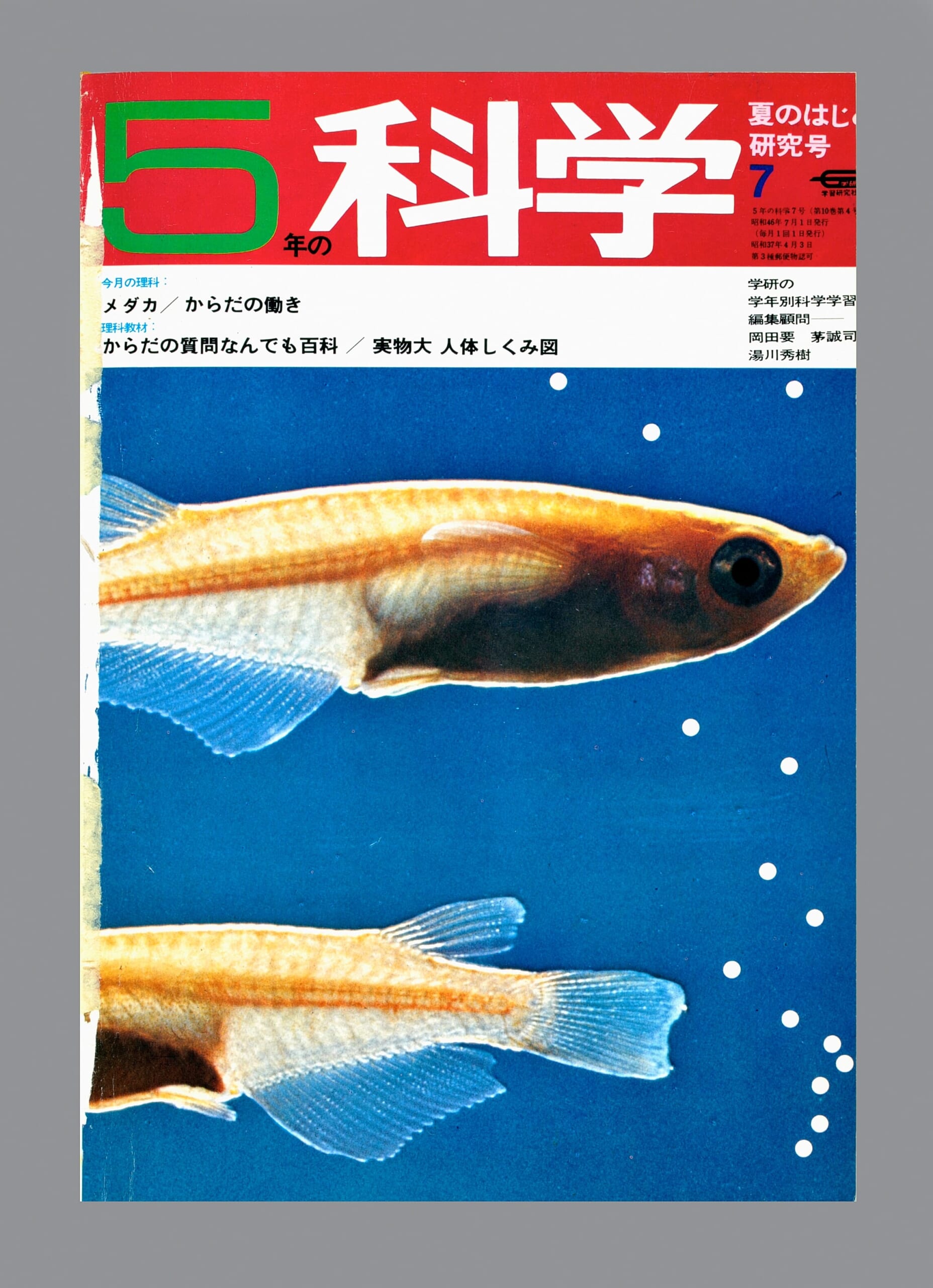 ふろく画像