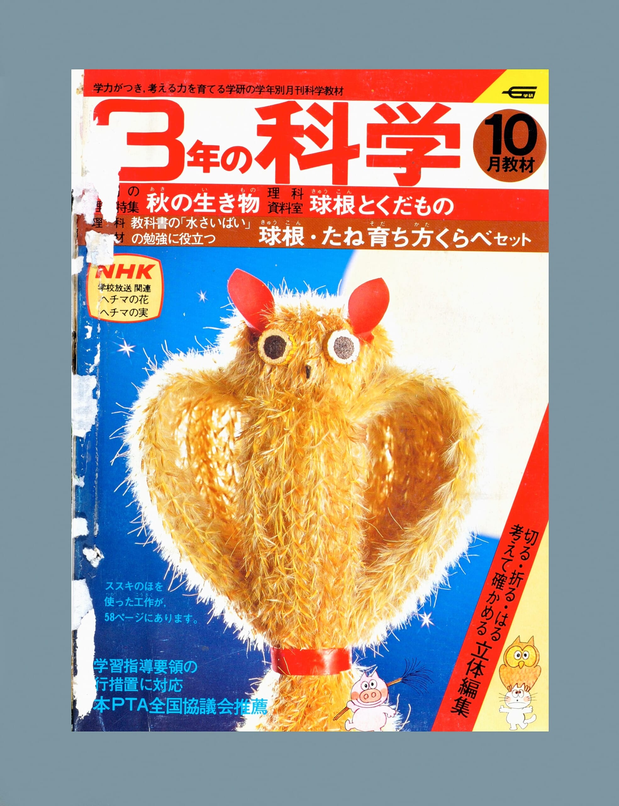 ふろく画像
