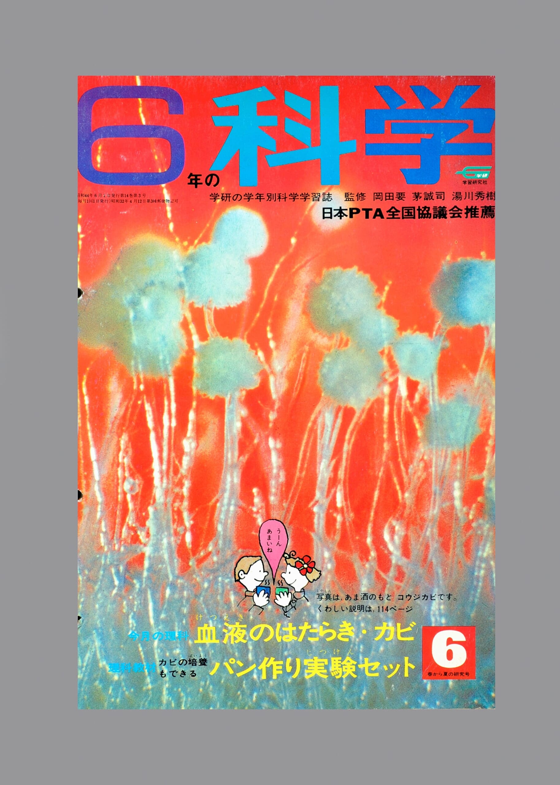ふろく画像