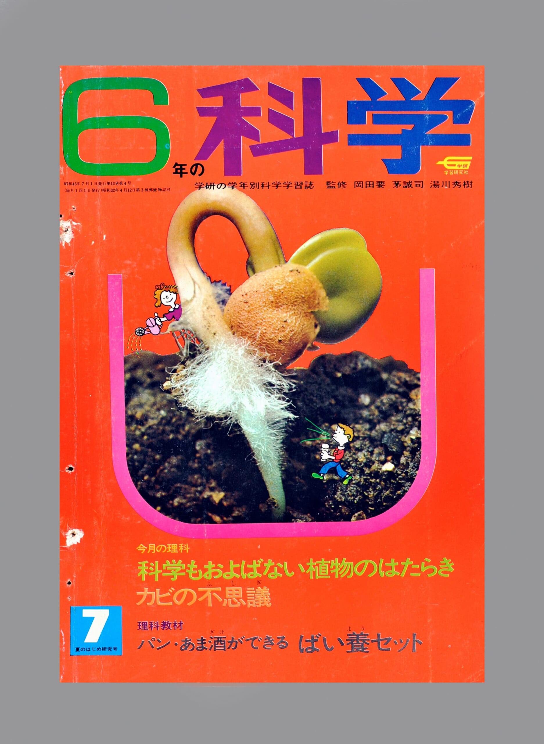 ふろく画像