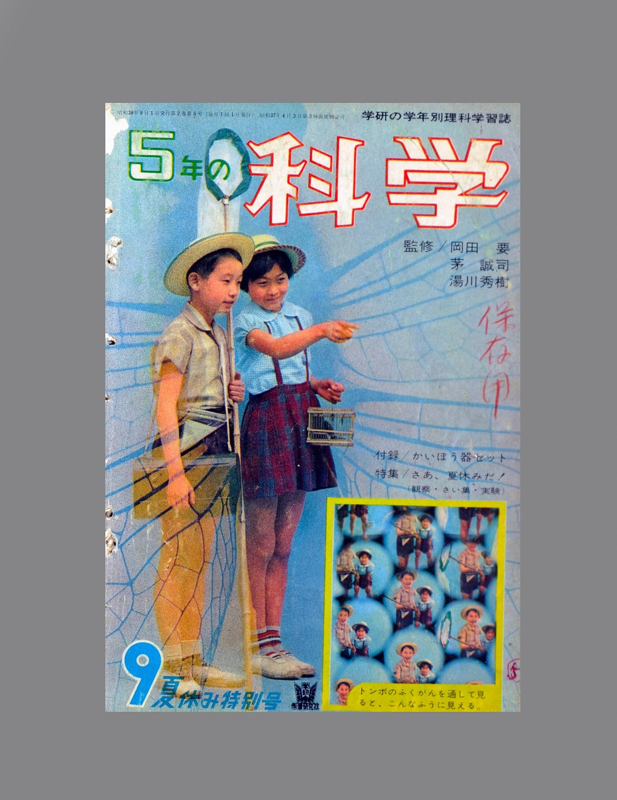 かいぼう器セット