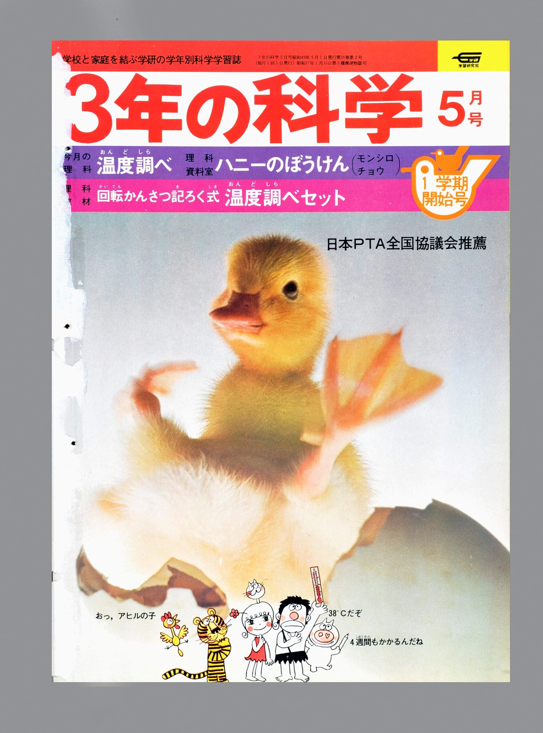 ふろく画像