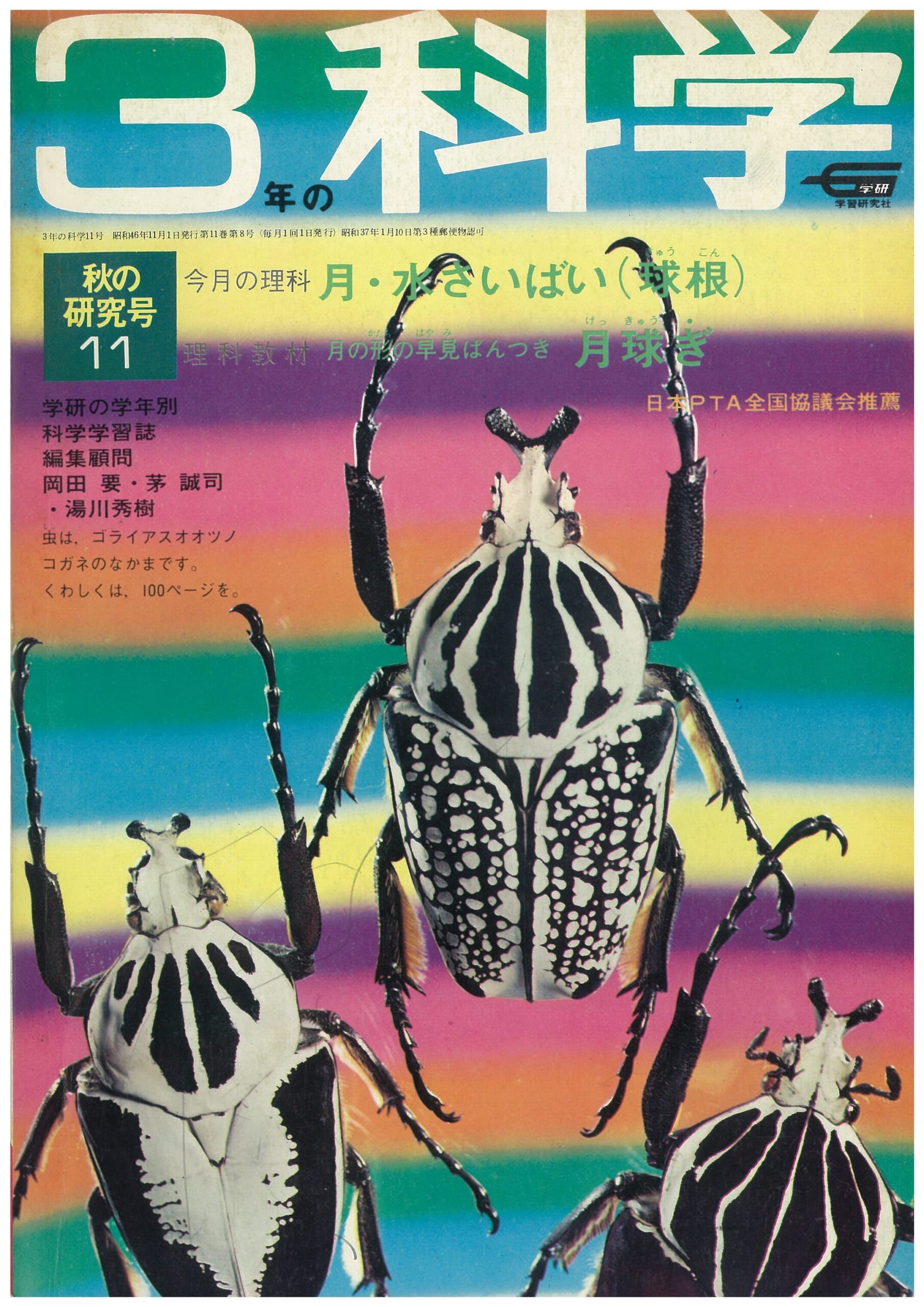 ふろく画像