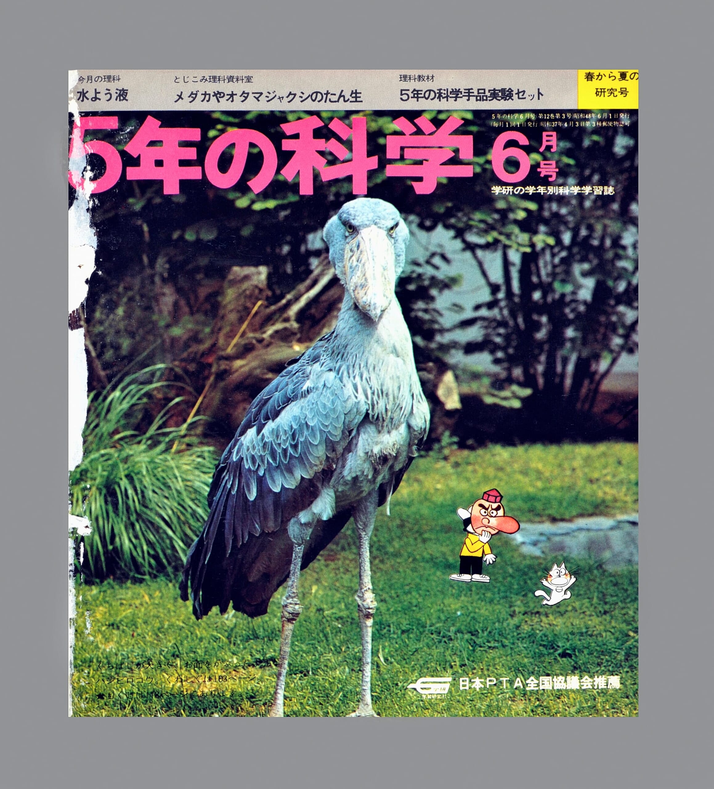 ふろく画像