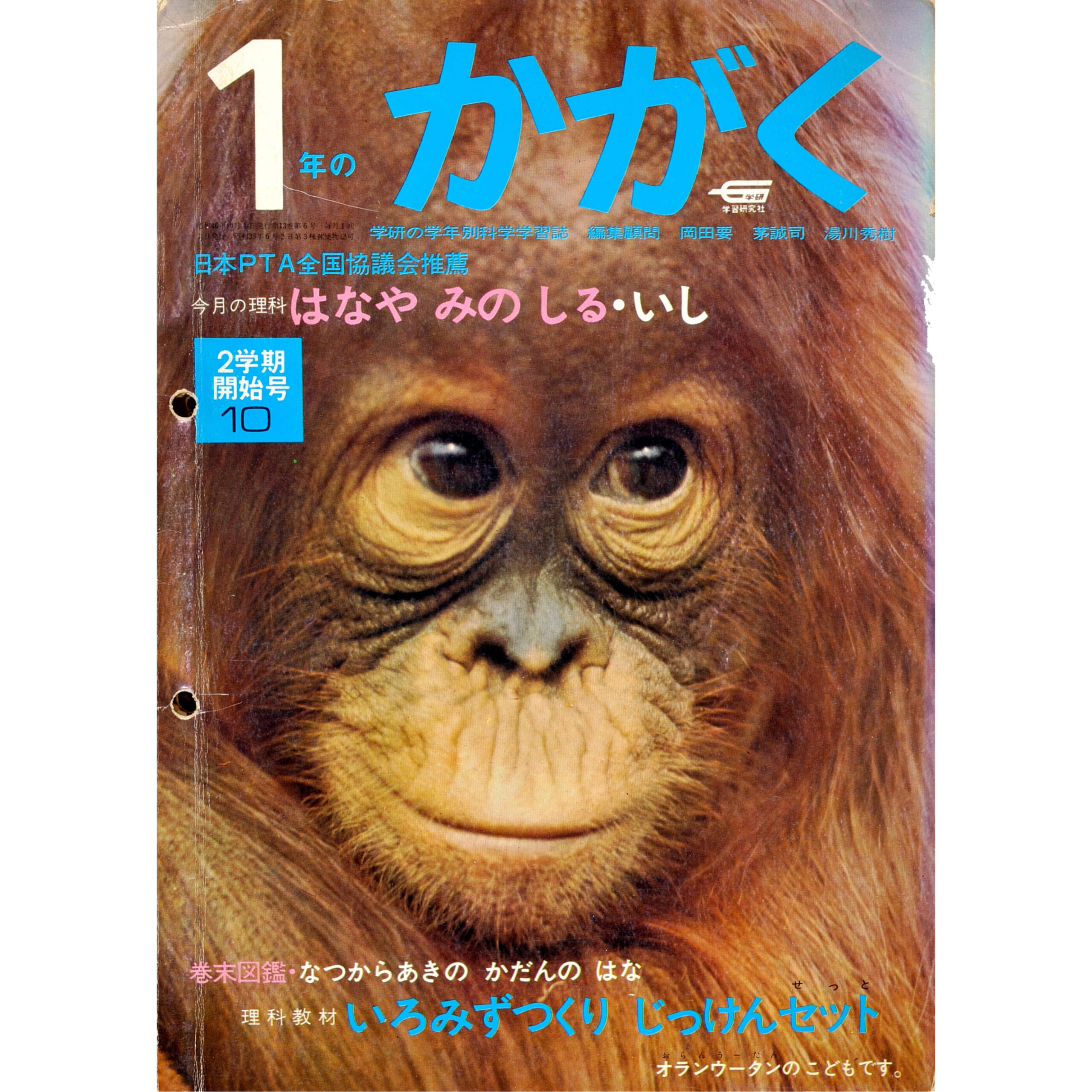 ふろく画像