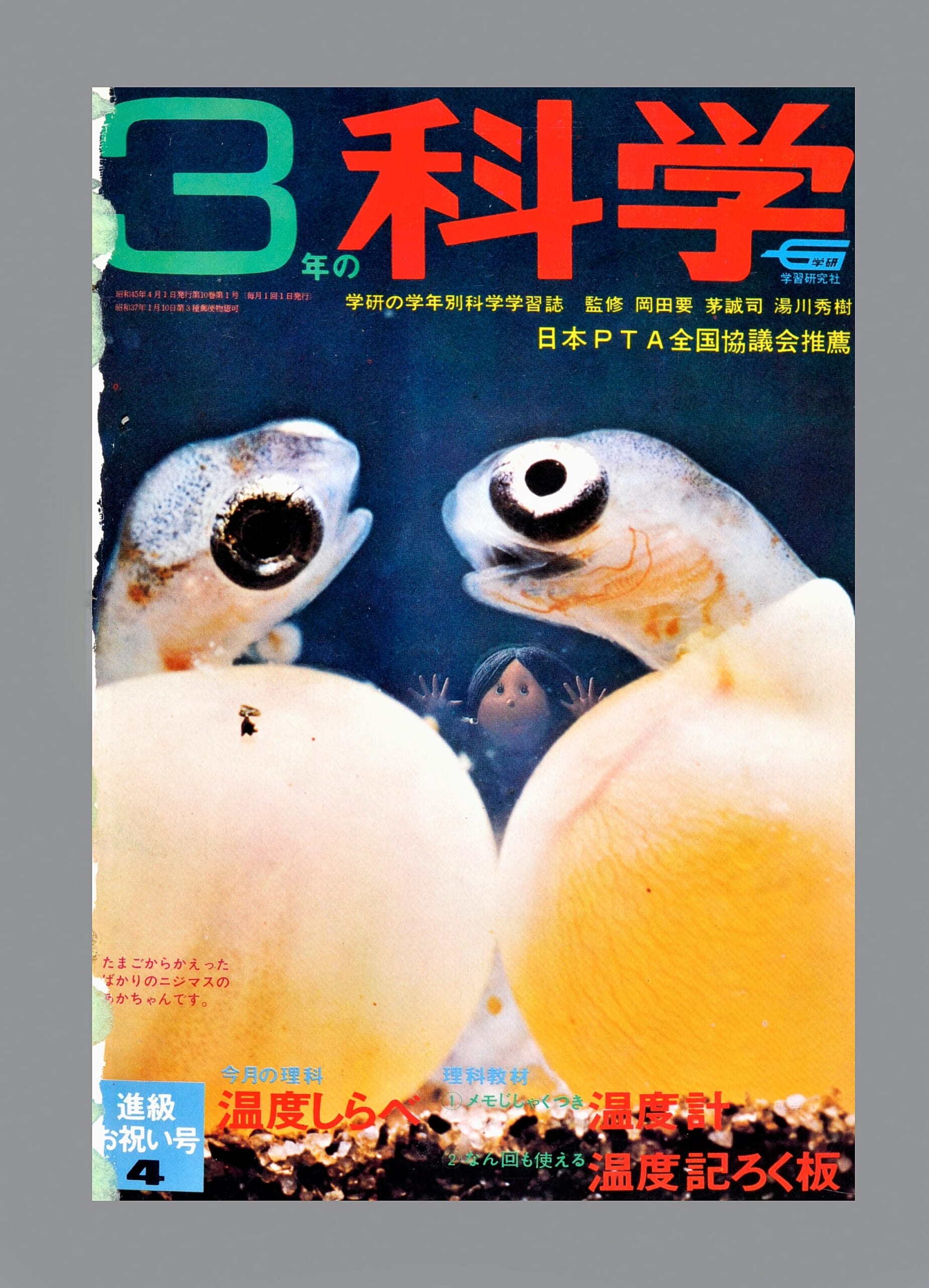ふろく画像