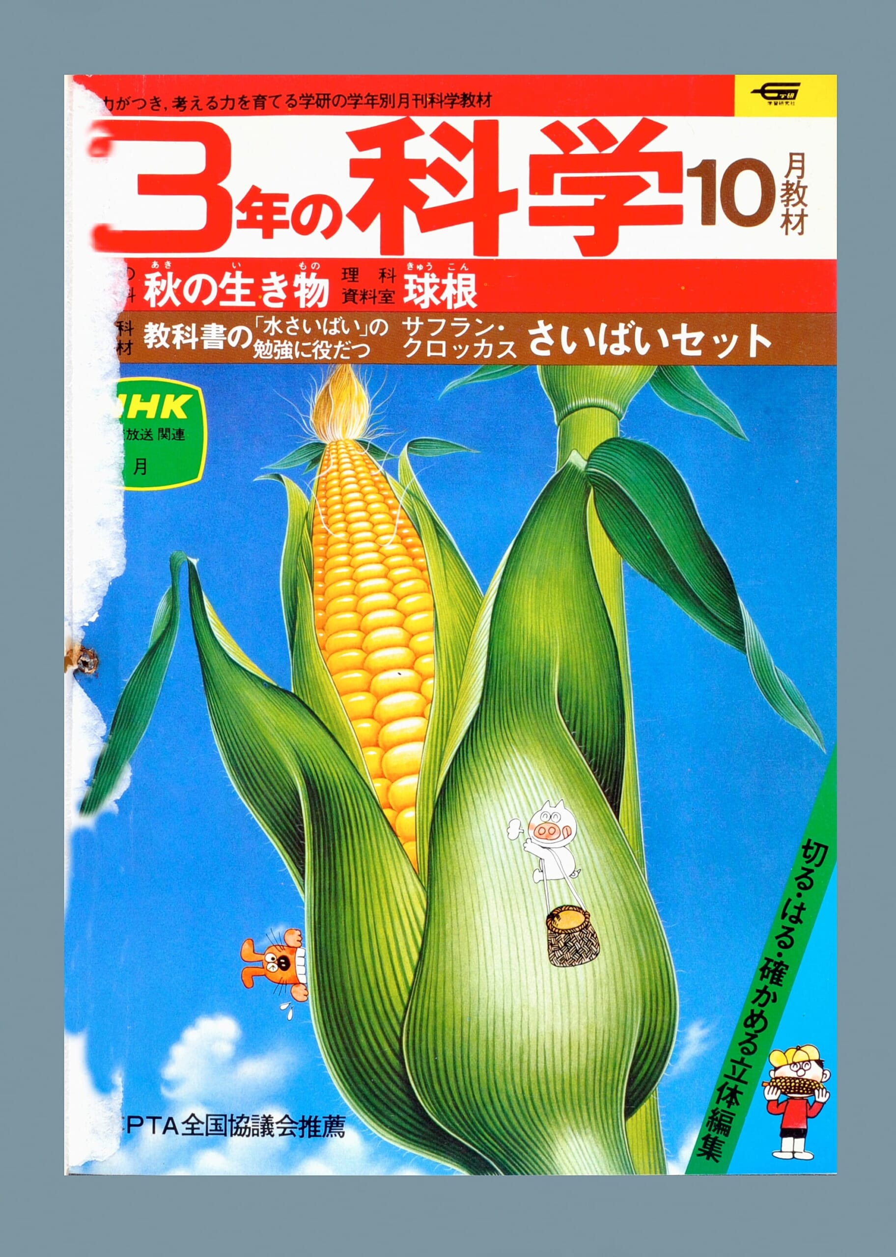 ふろく画像