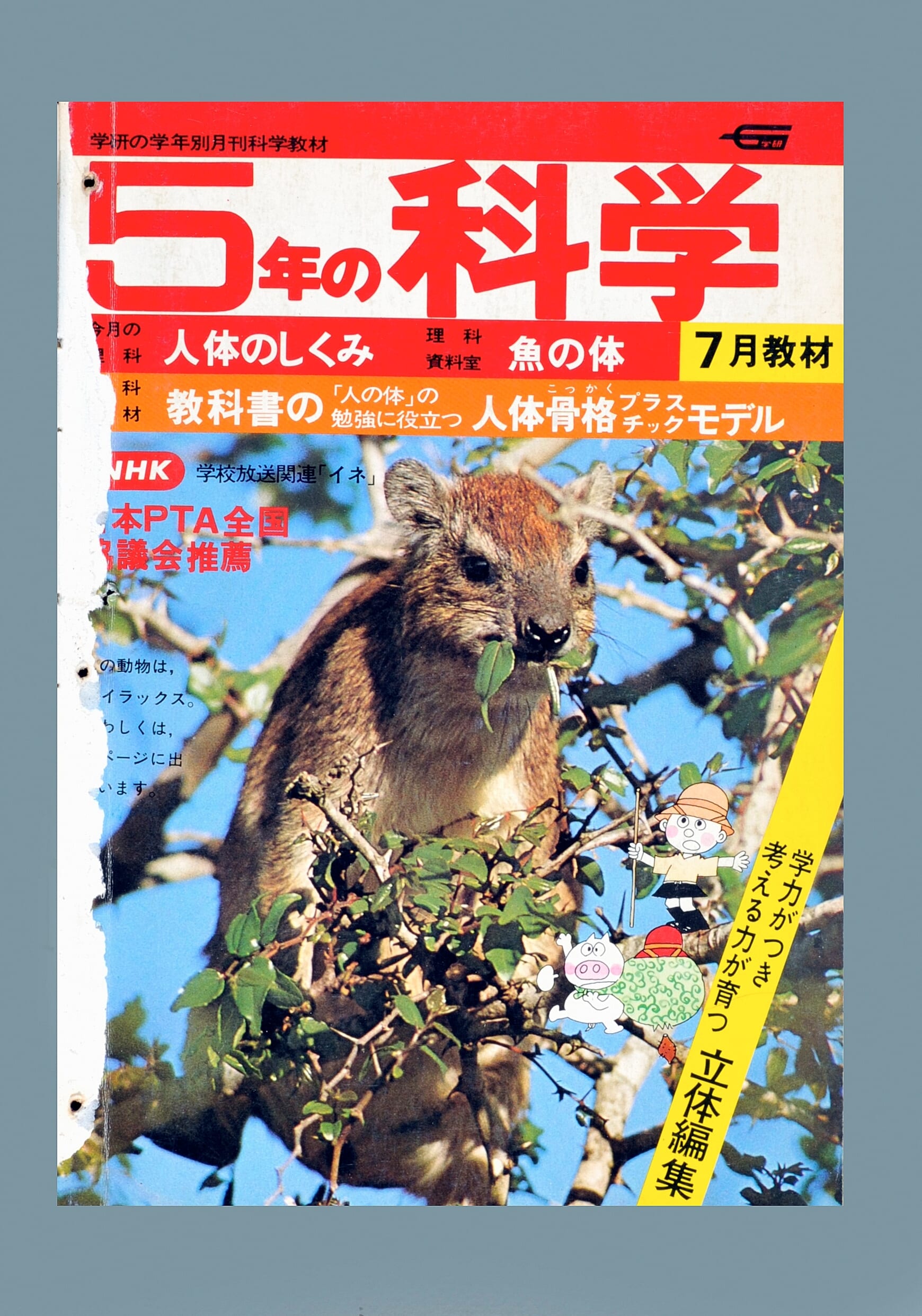 ふろく画像