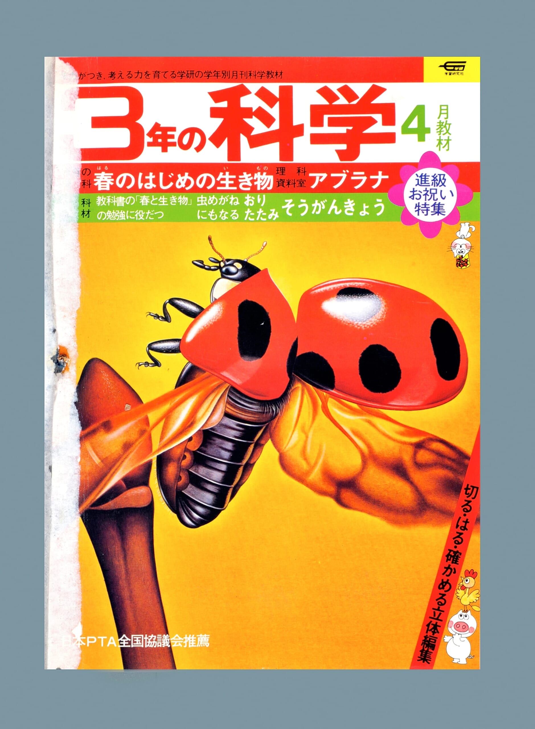 ふろく画像